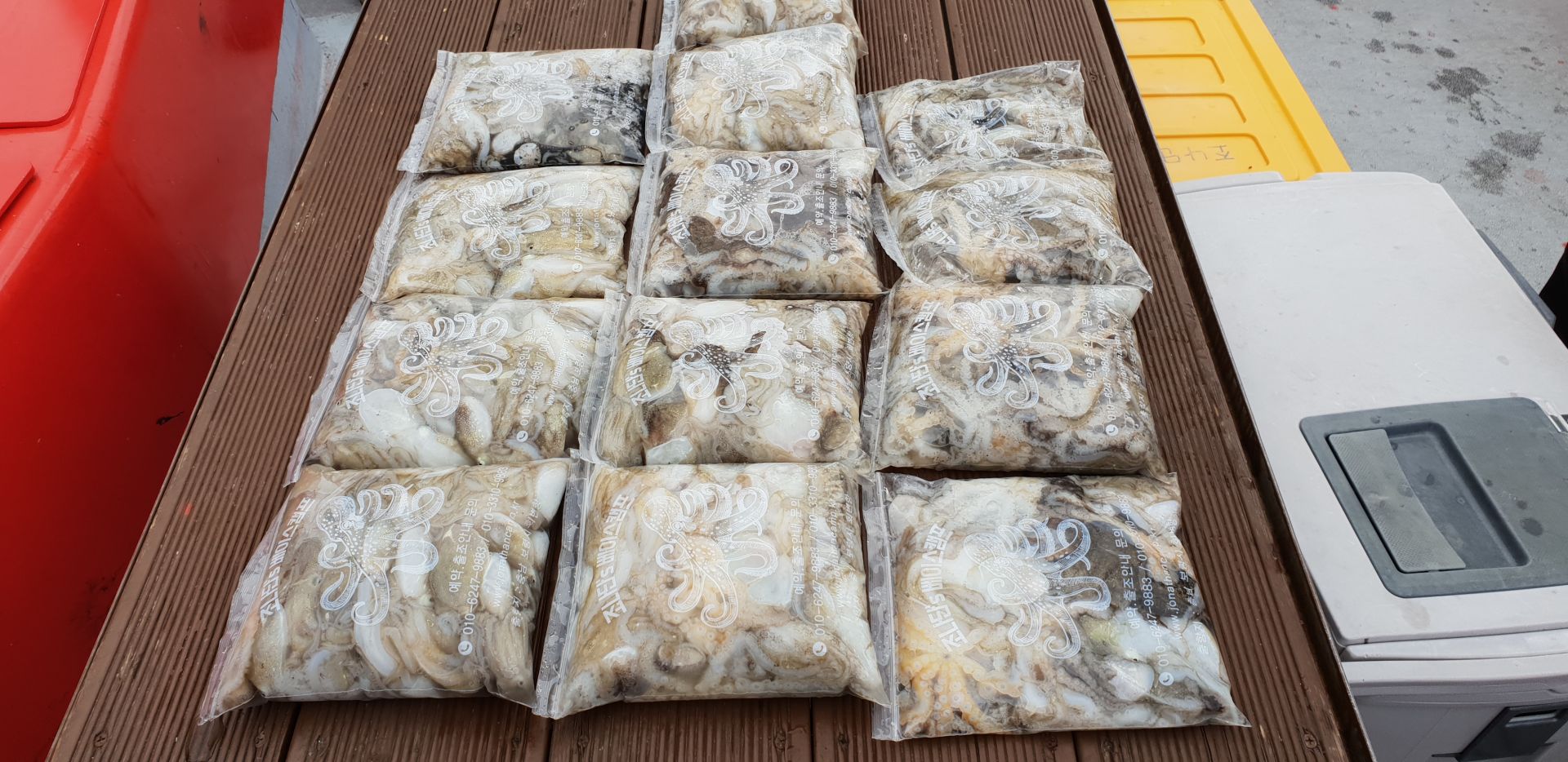 9월 13일 천북 회변항 조나단호 쭈꾸미 조황