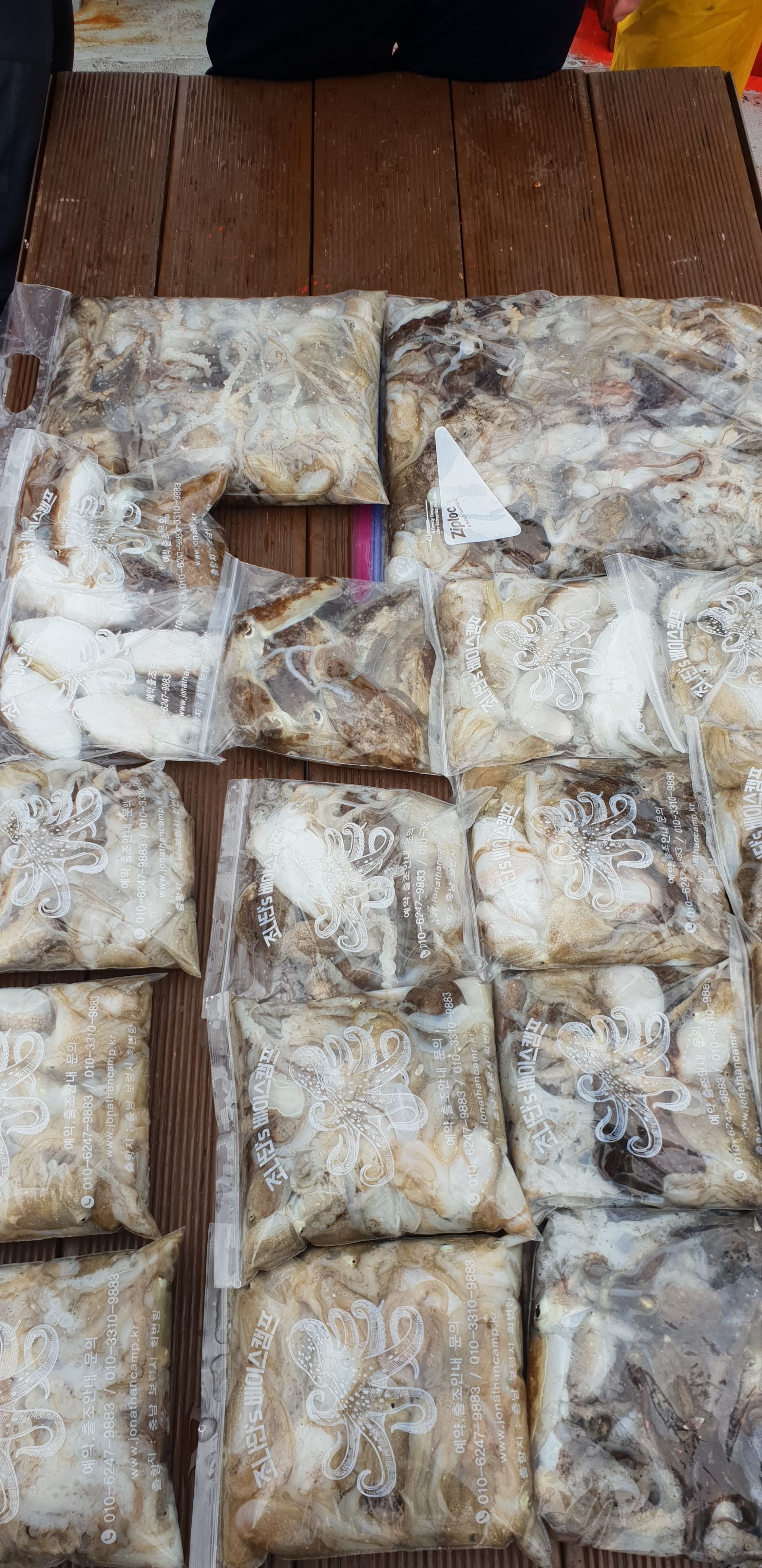 9월 14일 천북 회변항 조나단호 쭈꾸미 조황