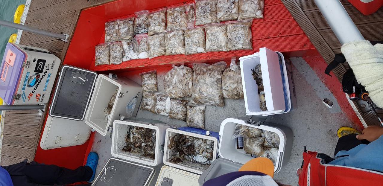 9월 16일 천북 회변항 조나단호 쭈꾸미 조황