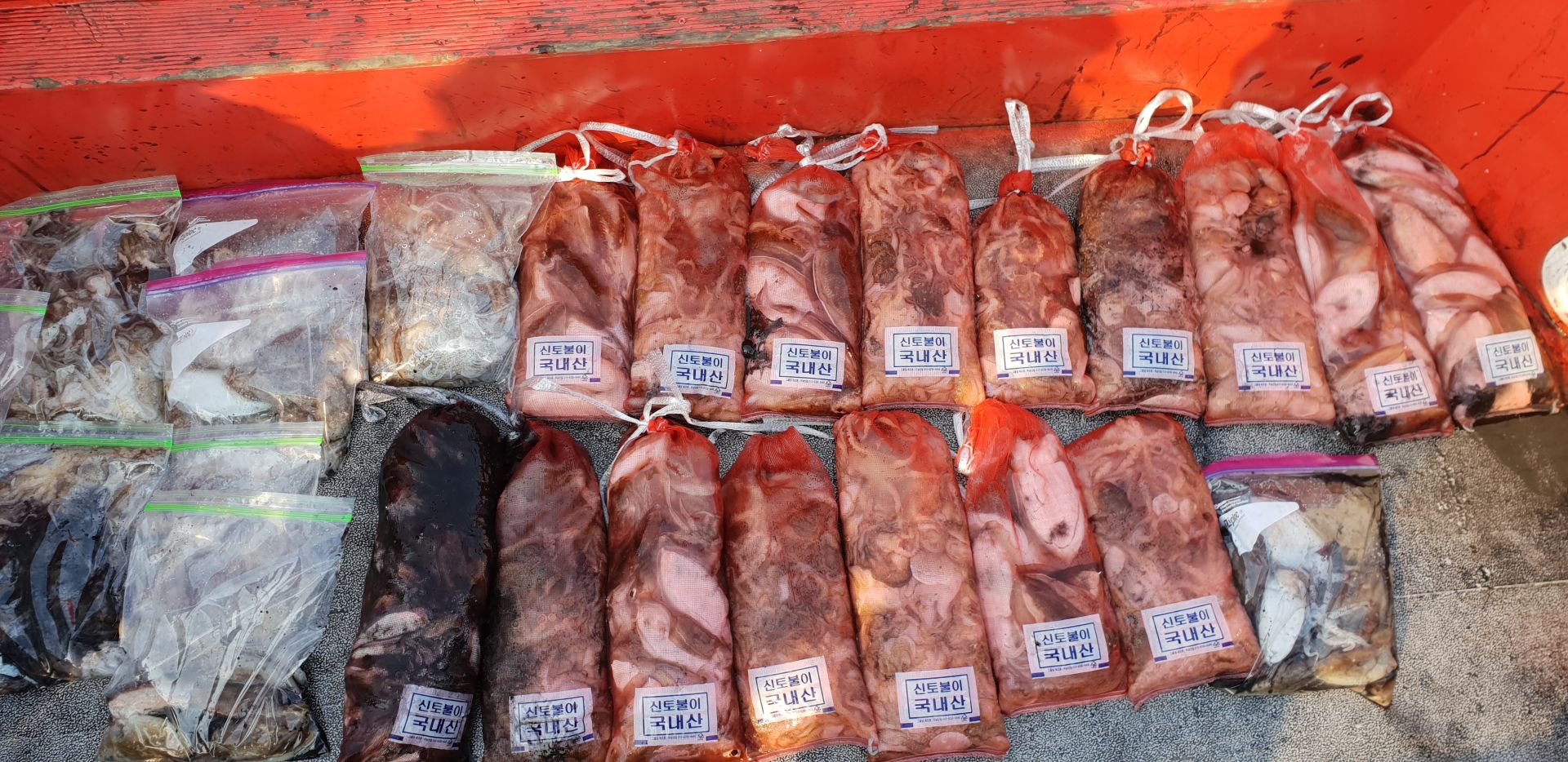 10월 15일 천북 회변항 조나단호 쭈꾸미,갑오징어 조황