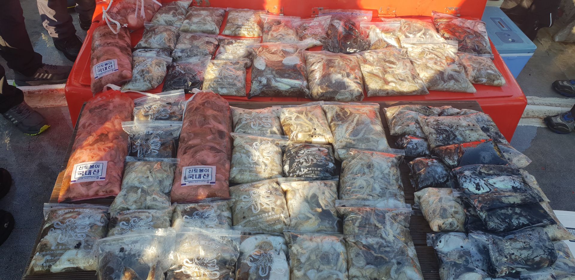 101월 3일 천북 회변항 조나단호 쭈꾸미 조황