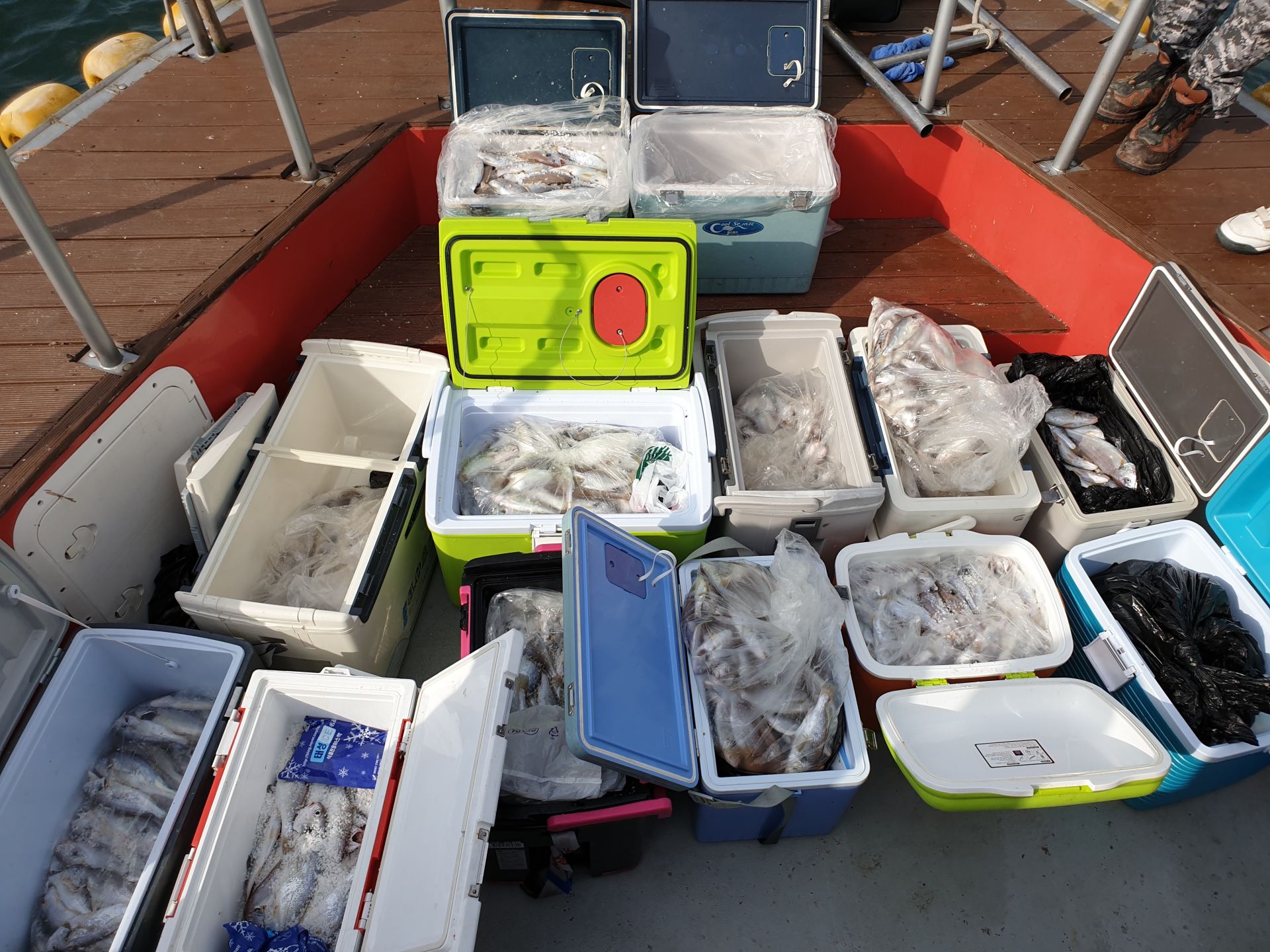 8/24 천북 회변항 조나단호 백조기 조황