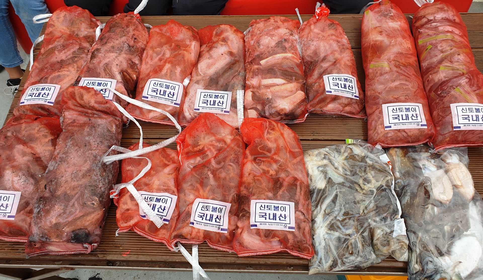 9월 14일 천북 회변항 조나단호 갑오징어,쭈꾸미 조황