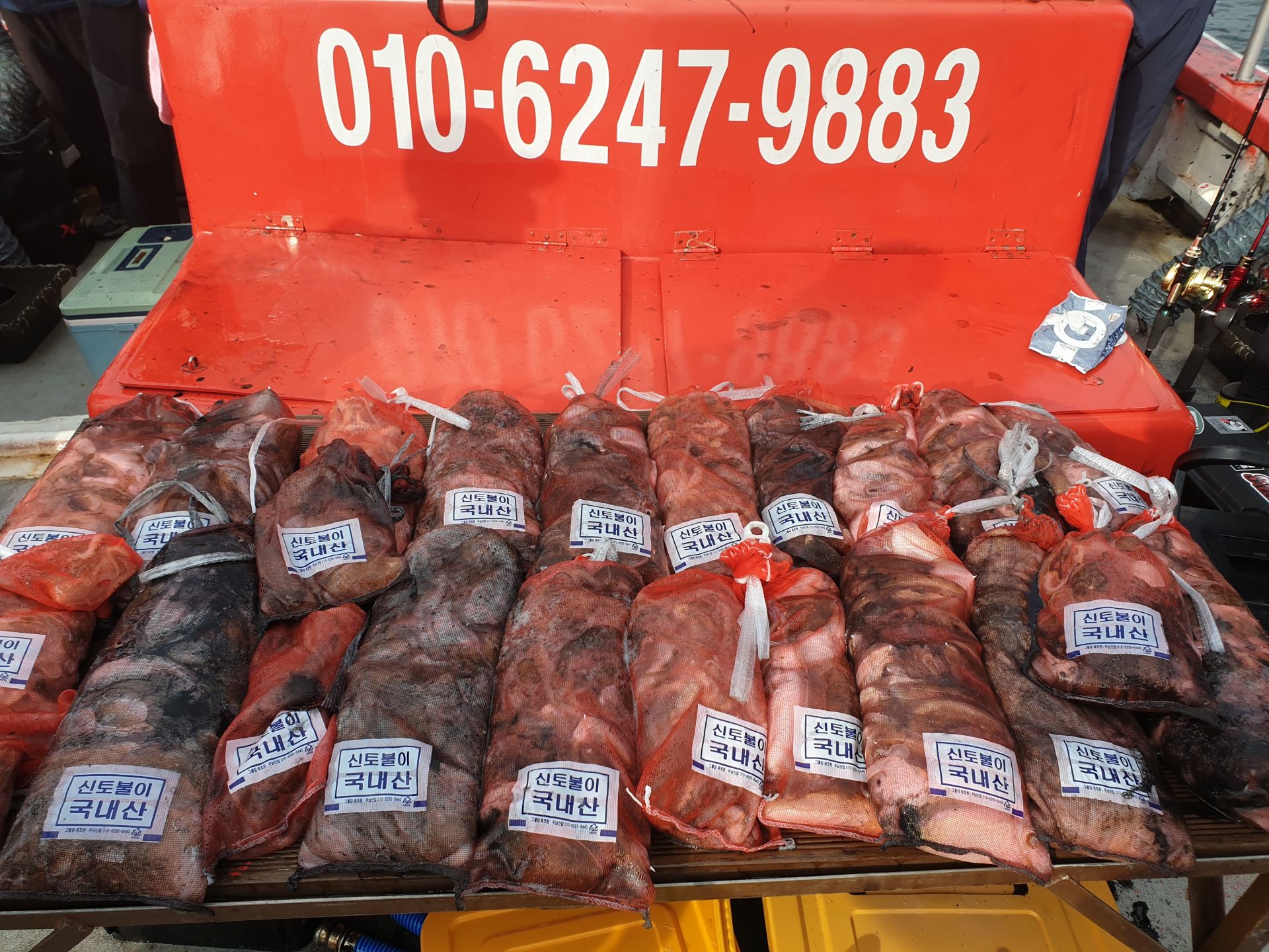 9월 26일 천북 회변항 조나단호 갑오징어,쭈꾸미 조황