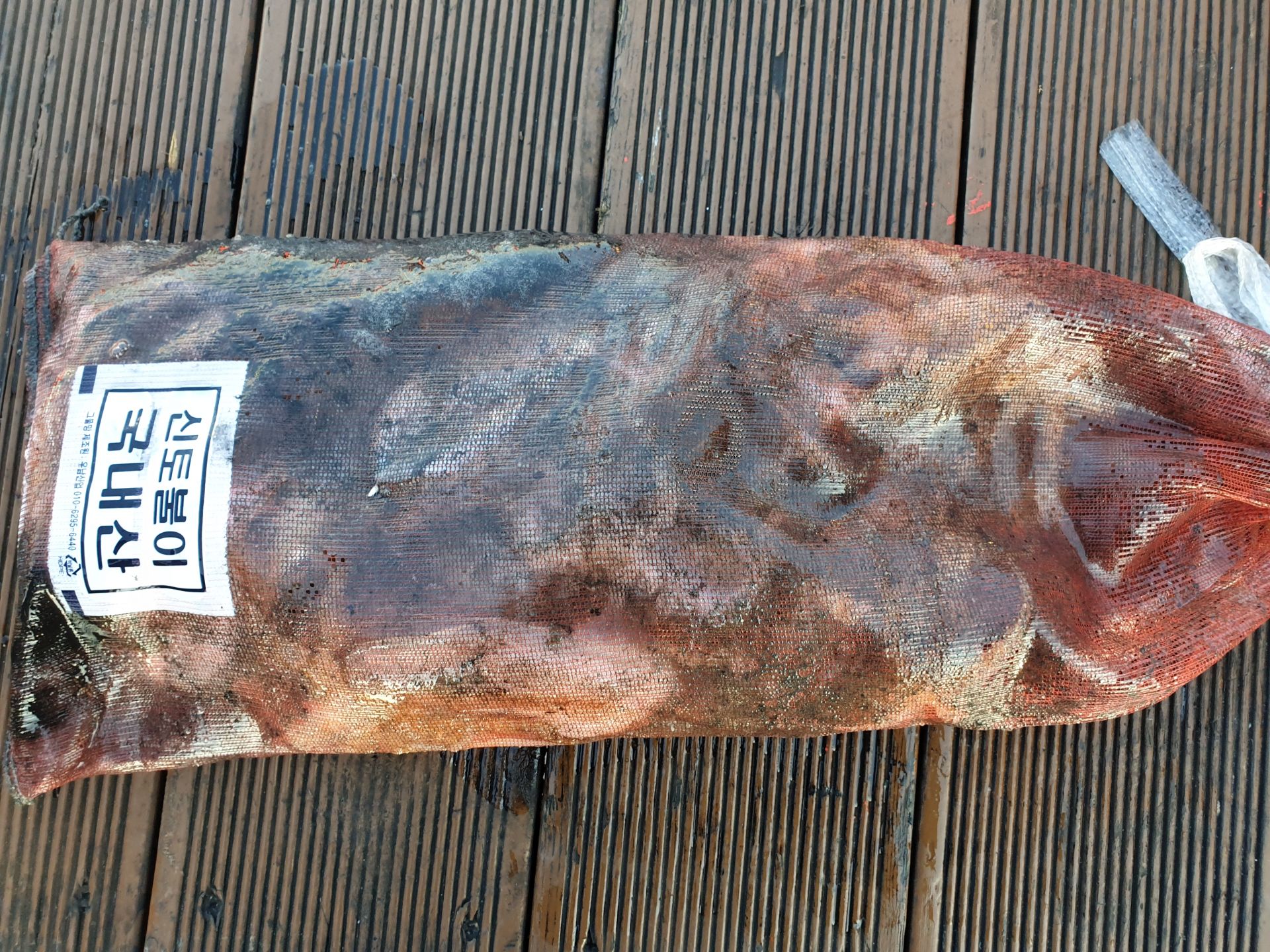 10월 27일 천북 회변항 조나단호 쭈꾸미,갑오징어 조황