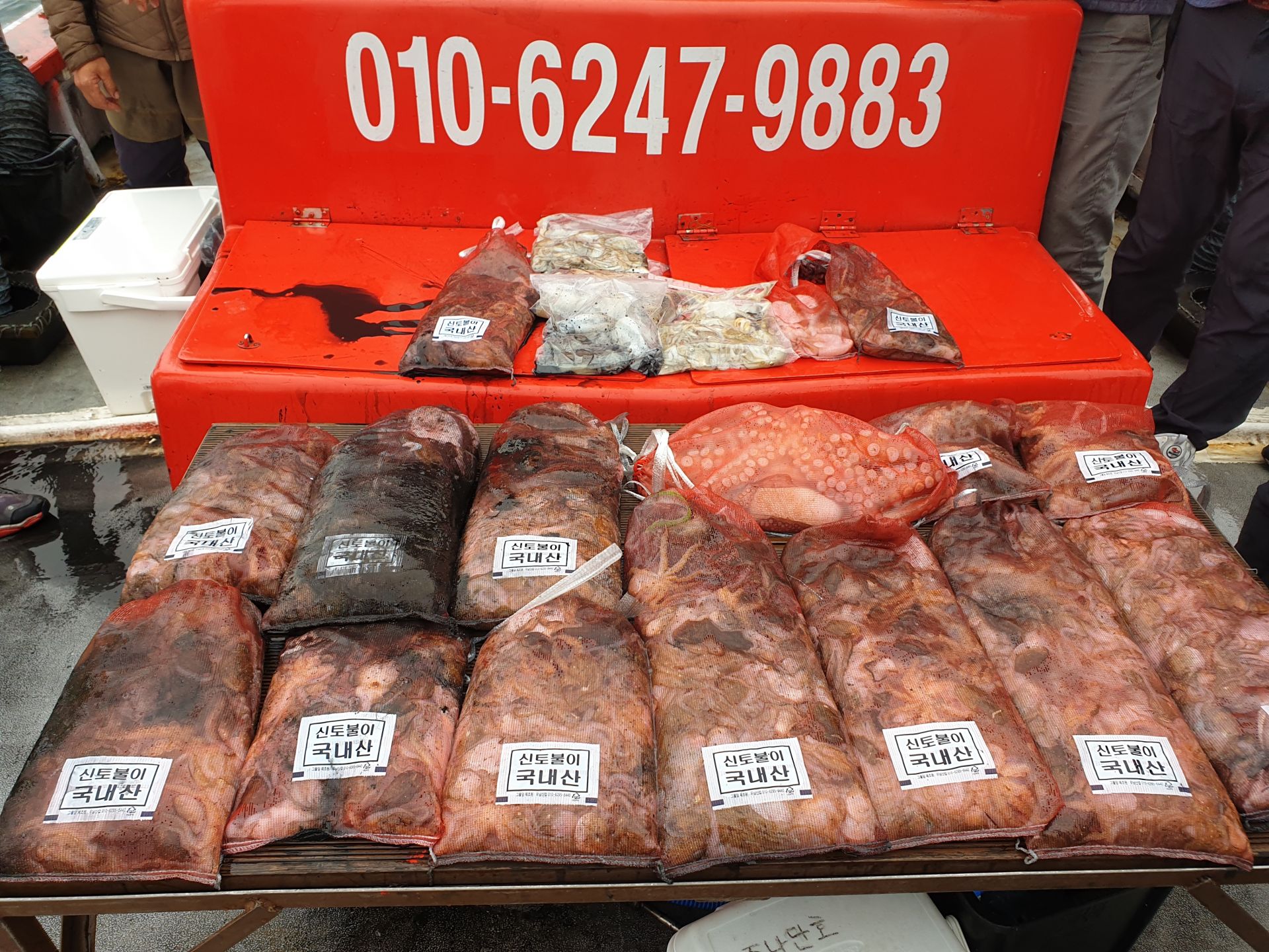 10월 23일 천북 회변항 조나단호 쭈꾸미,갑오징어 조황