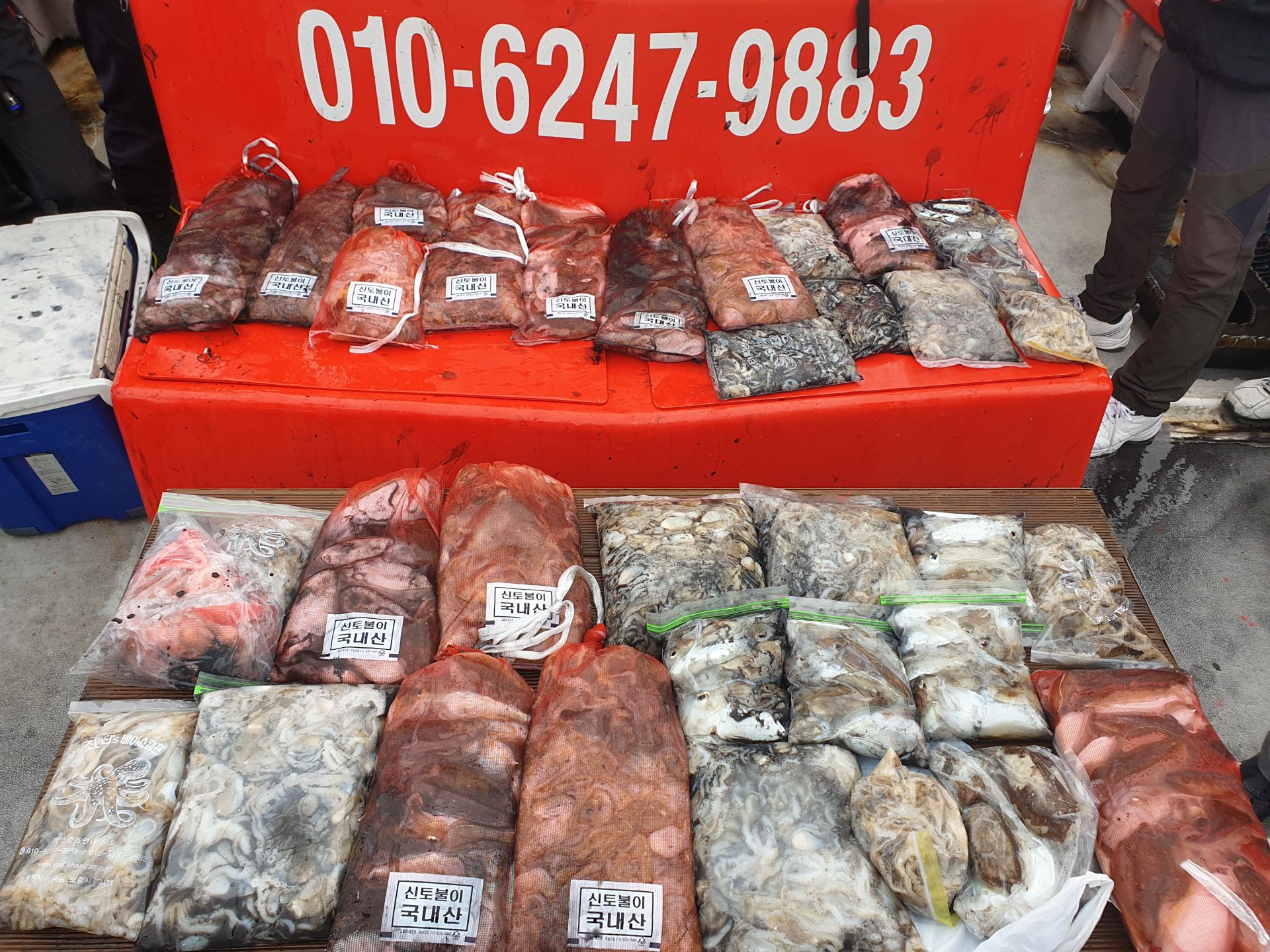 10월 6일 천북 회변항 조나단호 쭈꾸미,갑오징어 조황