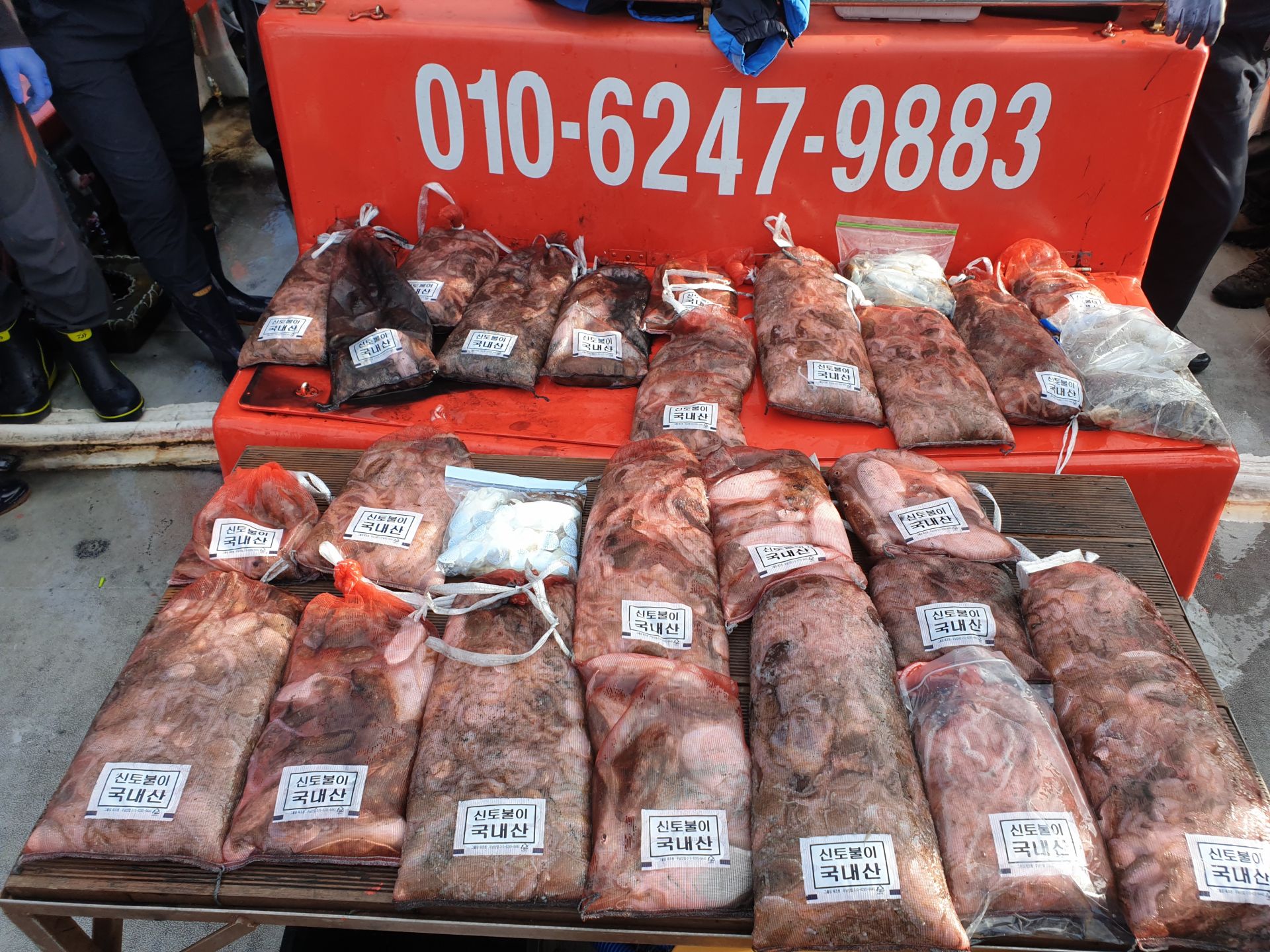 10월 9일 천북 회변항 조나단호 쭈꾸미,갑오징어 조황