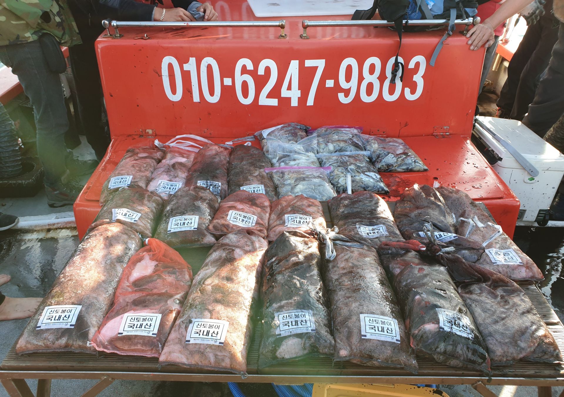 10월 18일 회변항 조나단호 쭈꾸미,갑오징어 조황