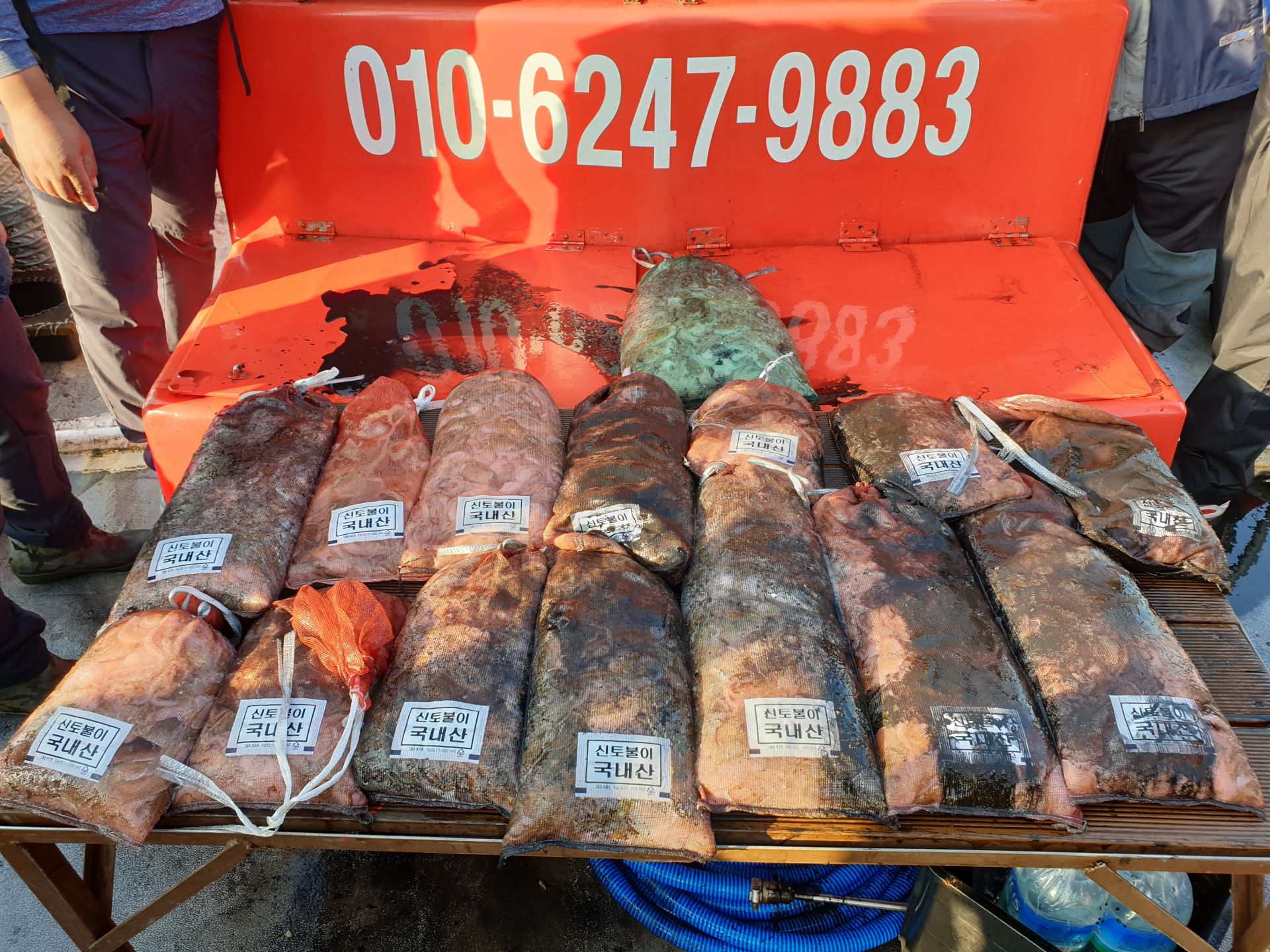 10월 22일 회변항 조나단호 쭈꾸미,갑오징어 조황