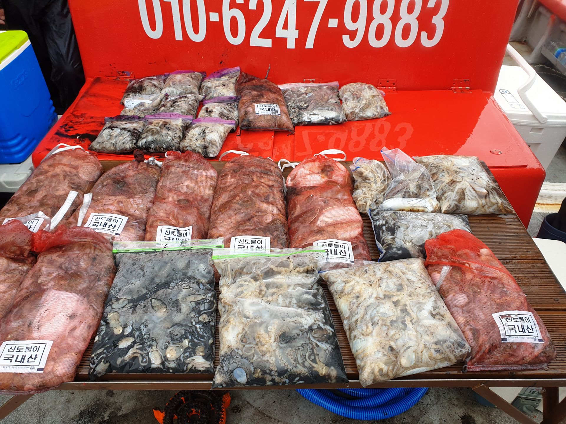 10월 7일 천북 회변항 조나단호 쭈꾸미,갑오징어 조황