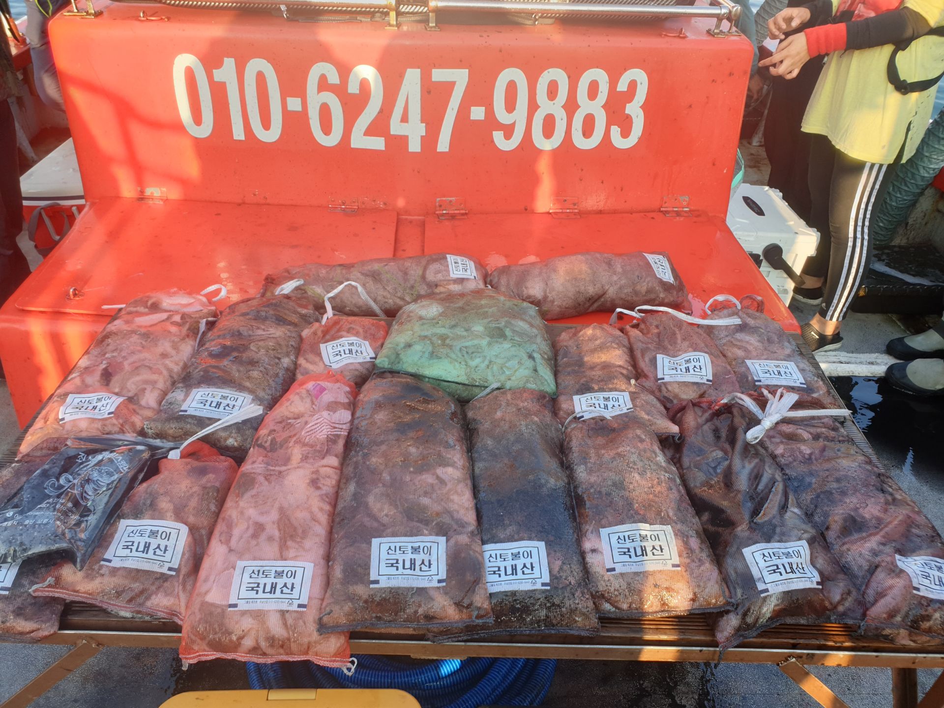 10월 24일 천북 회변항 조나단호 쭈꾸미,갑오징어 조황