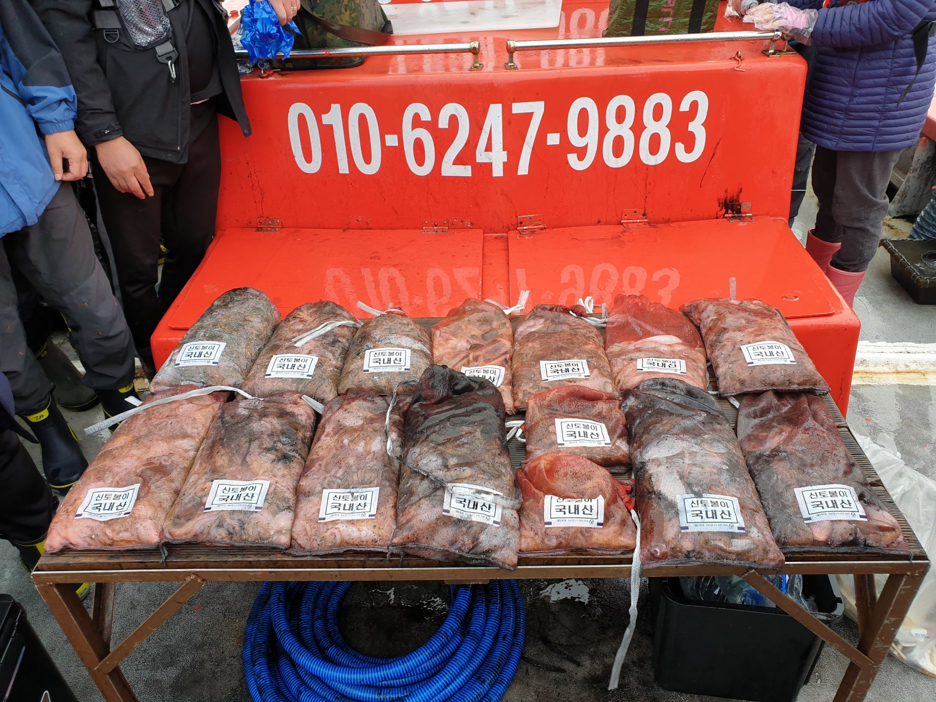 10월 25일 천북 회변항 조나단호 쭈꾸미,갑오징어 조황