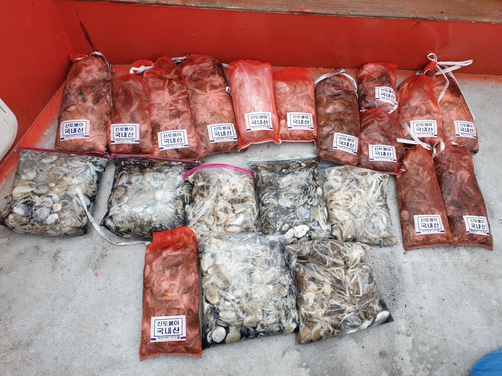 9월 20일 천북 회변항 조나단호 쭈꾸미,갑오징어 조황