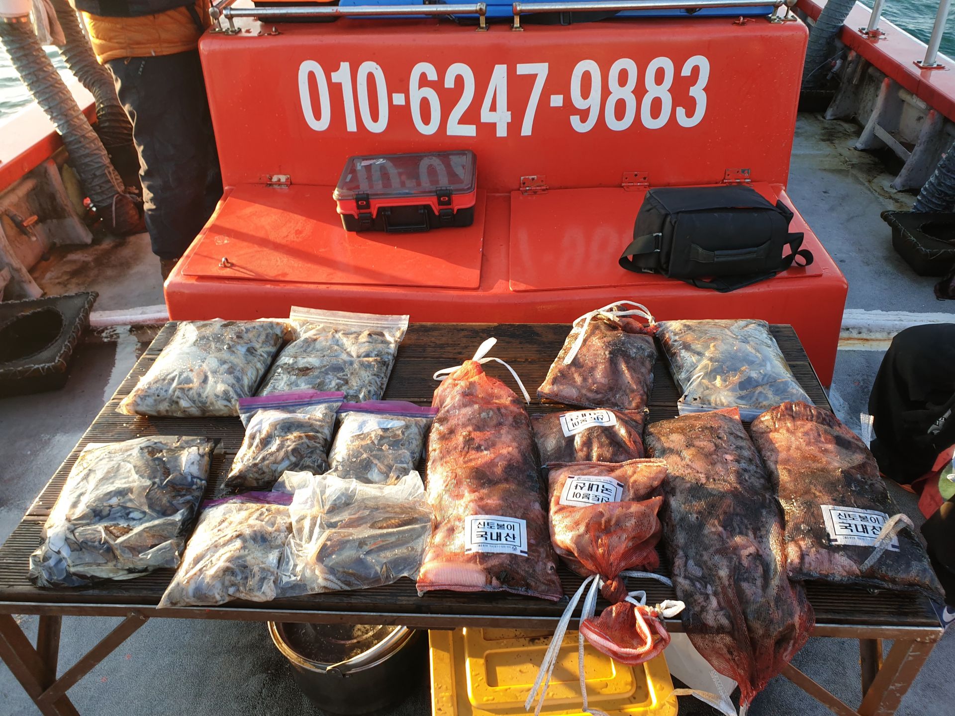 11월 7일 천북 회변항 조나단호 쭈꾸미,갑오징어 조황