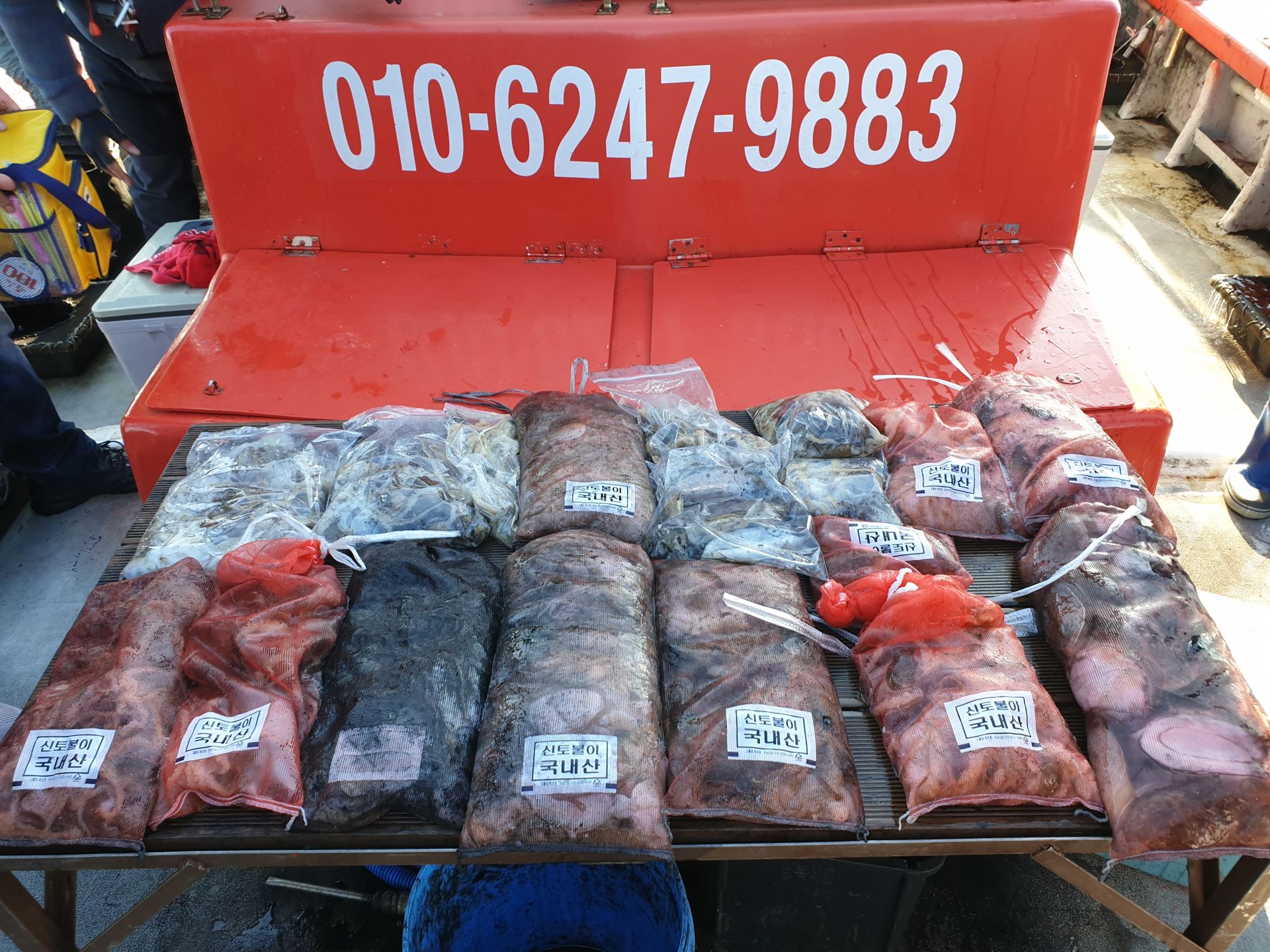 11월 8일 천북 회변항 조나단호 쭈꾸미,갑오징어 조황