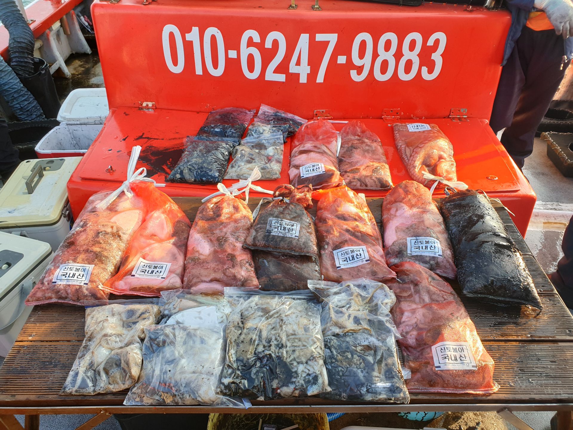 11월 4일 천북 회변항 조나단호 쭈꾸미,갑오징어 조황