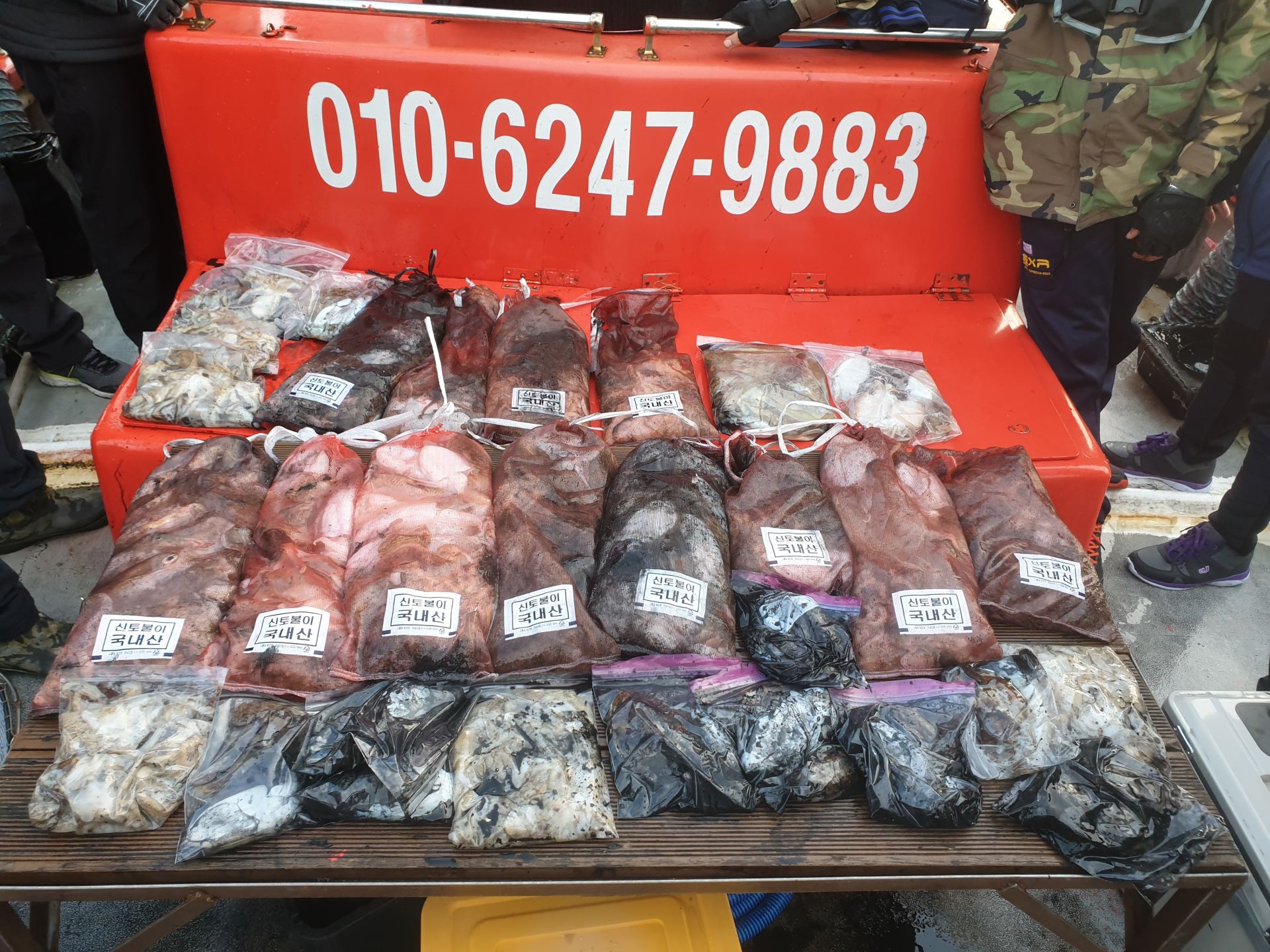 11월 3일 천북 회변항 조나단호 쭈꾸미,갑오징어 조황