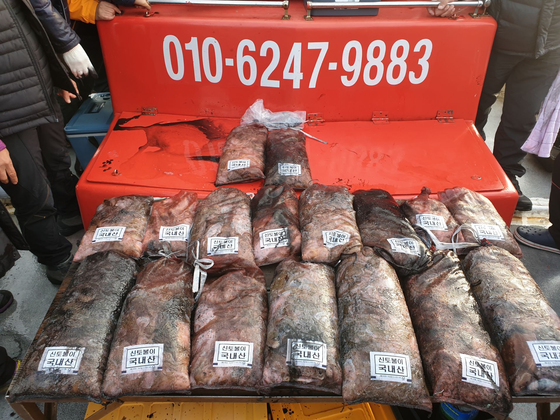 11월 6일 천북 회변항 조나단호 쭈꾸미,갑오징어 조황