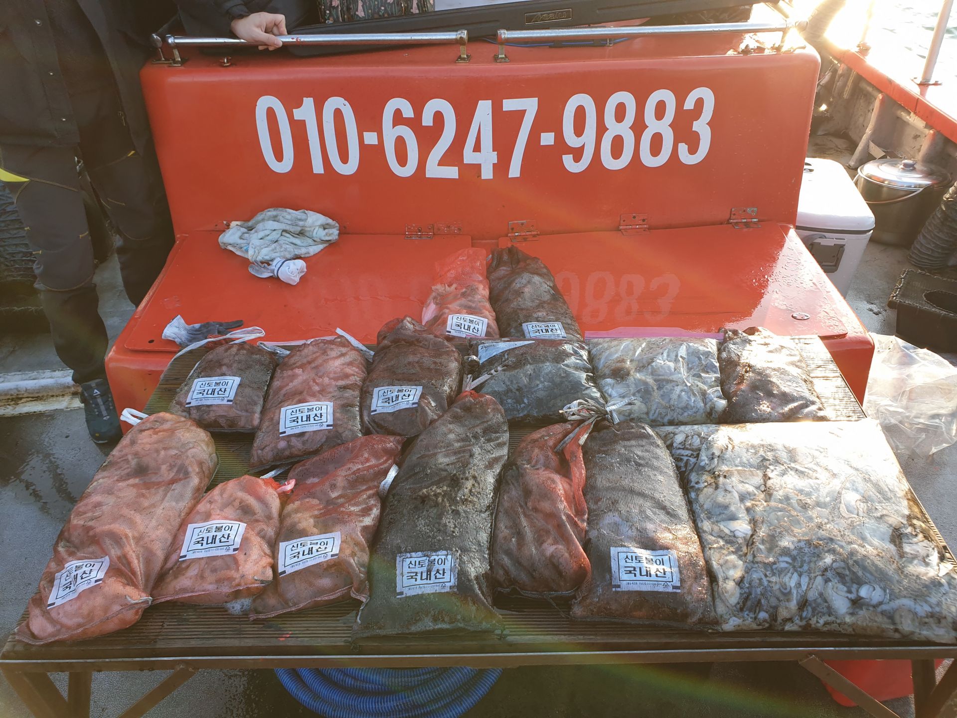 11월 9일 천북 회변항 조나단호 쭈꾸미,갑오징어 조황