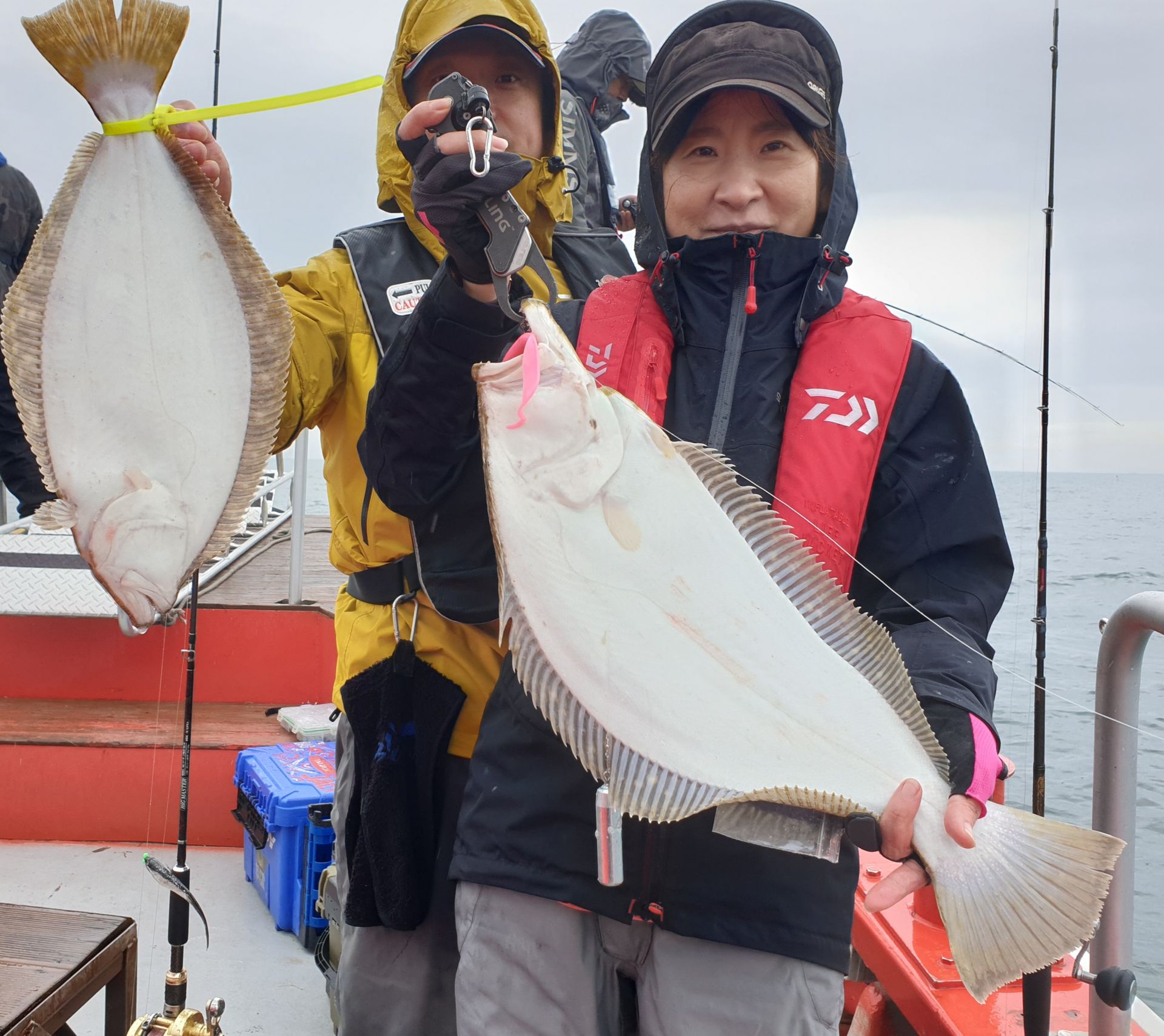 5월3일 중외만권 우럭, 광어 다운샷 출조조황