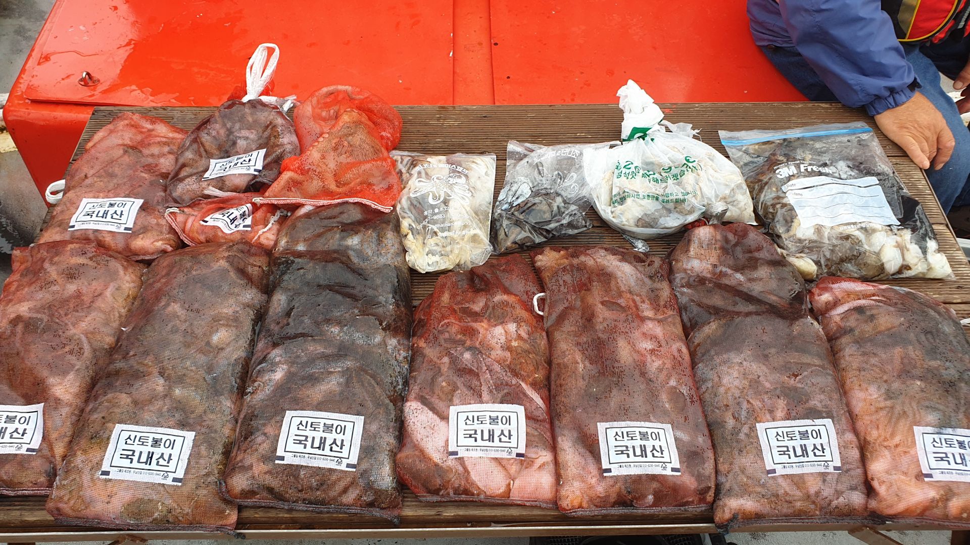 9월 23~24일 천북 회변항 조나단호 쭈꾸미,갑오징어 조황