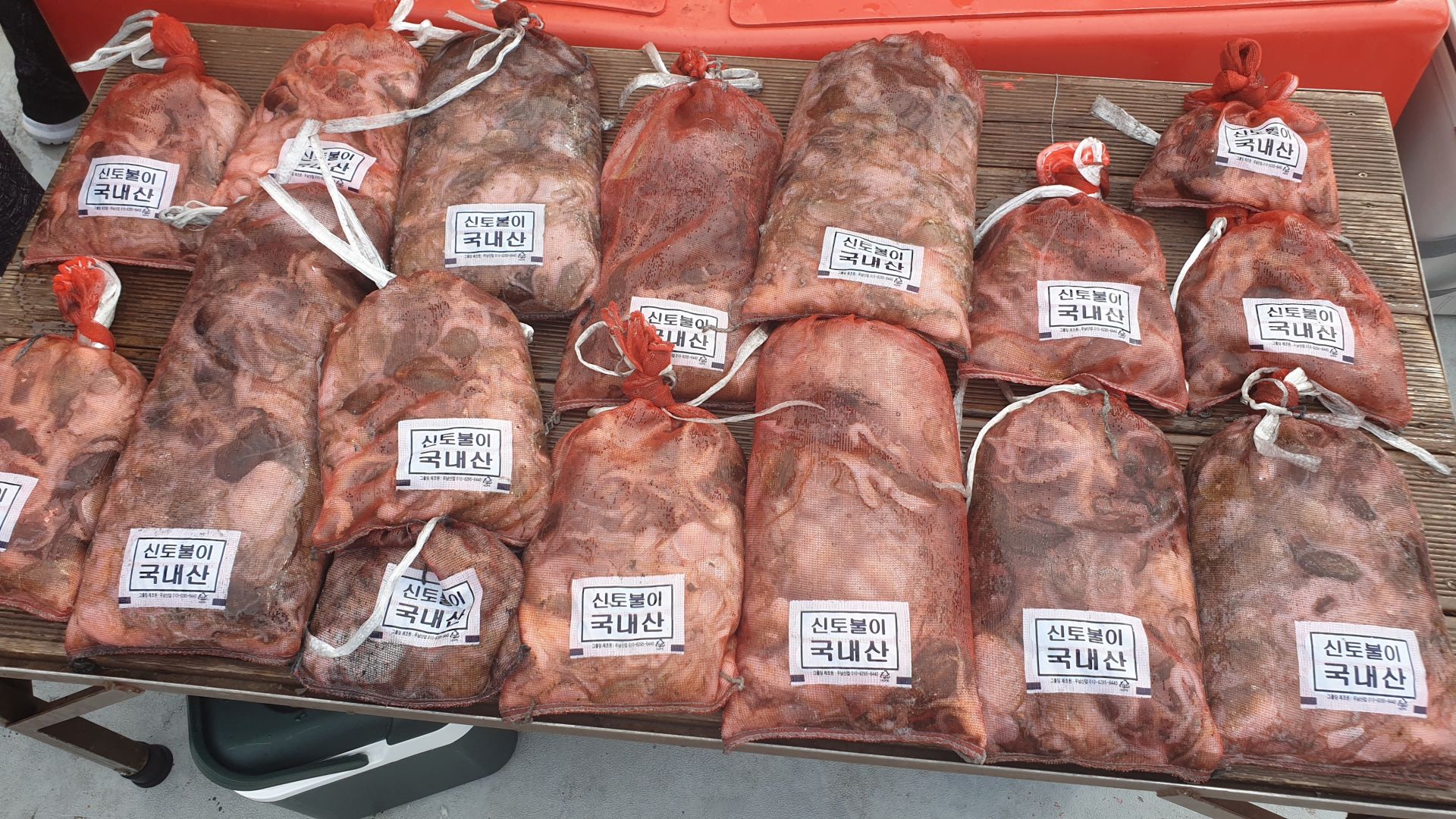 9월 15일 천북 회변항 조나단호 쭈꾸미,갑오징어 조황