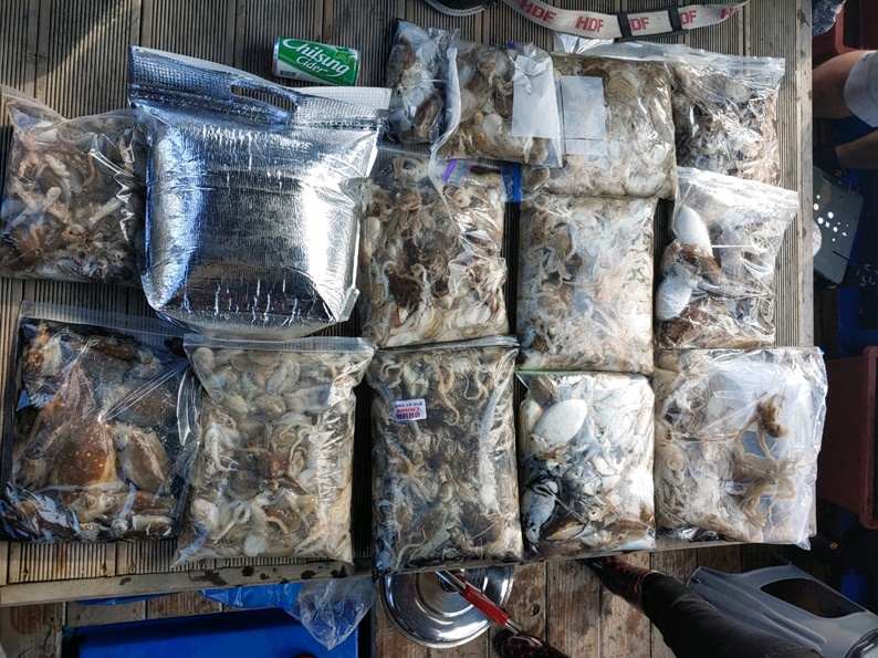 9월25일 천북 회변항 조나단호 쭈꾸미,갑오징어 조황