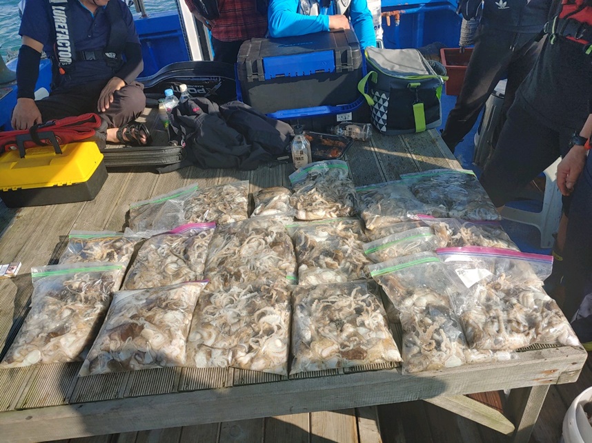 9월 10일 천북 회변항 조나단호 쭈꾸미,갑오징어 조황