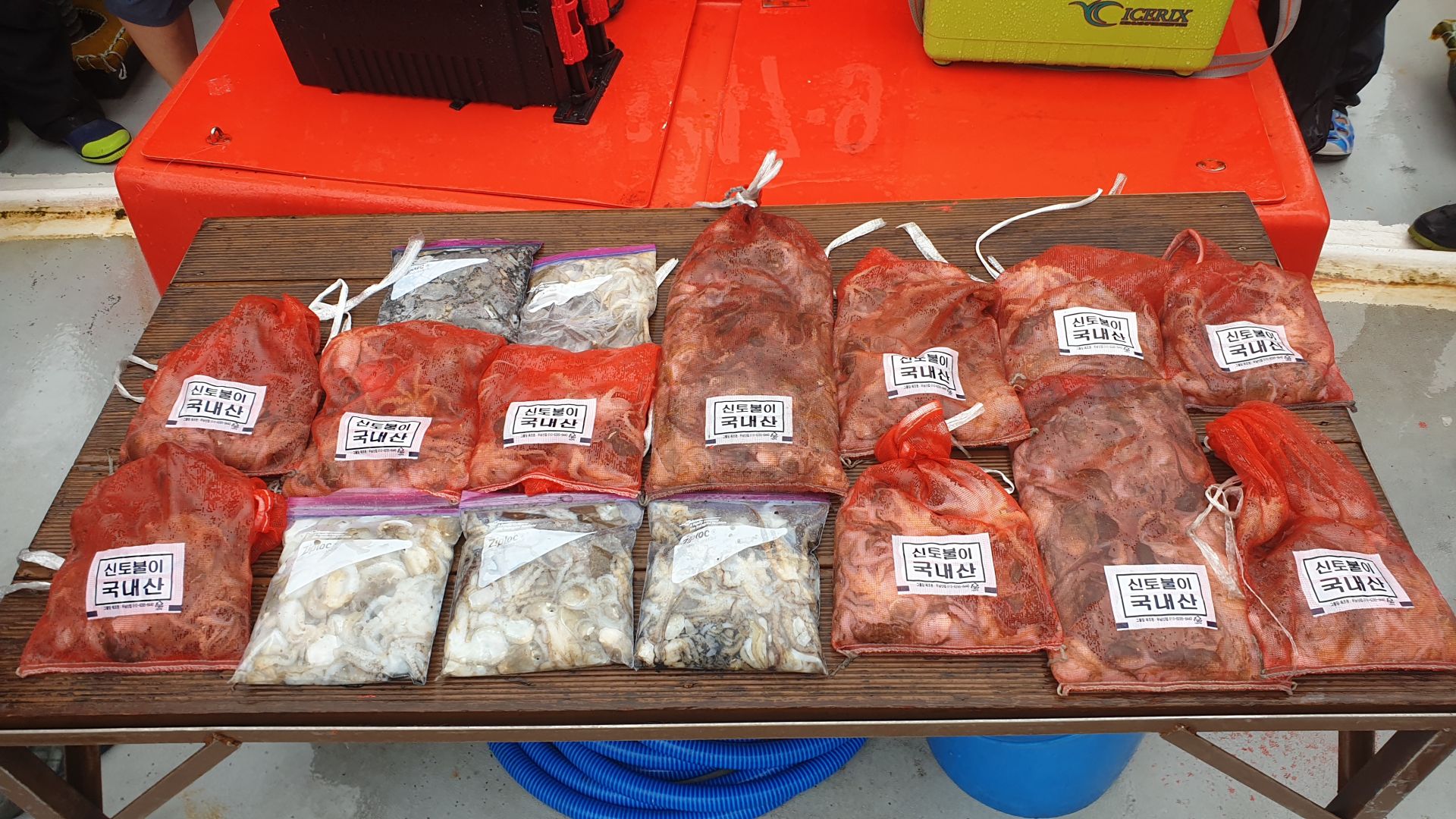 9월 12일 천북 회변항 조나단호 쭈꾸미,갑오징어 조황