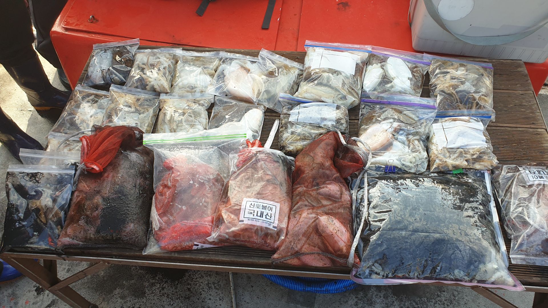 10월 14일 천북 회변항 조나단호 쭈꾸미,갑오징어 조황