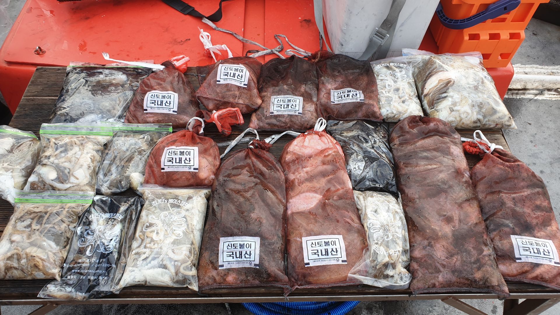 10월 15일 천북 회변항 조나단호 쭈꾸미,갑오징어 조황