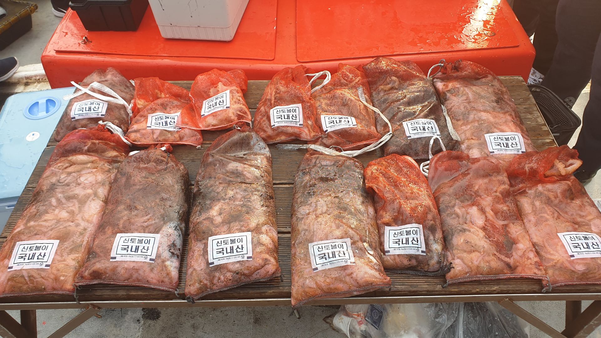 10월 12일 천북 회변항 조나단호 쭈꾸미,갑오징어 조황