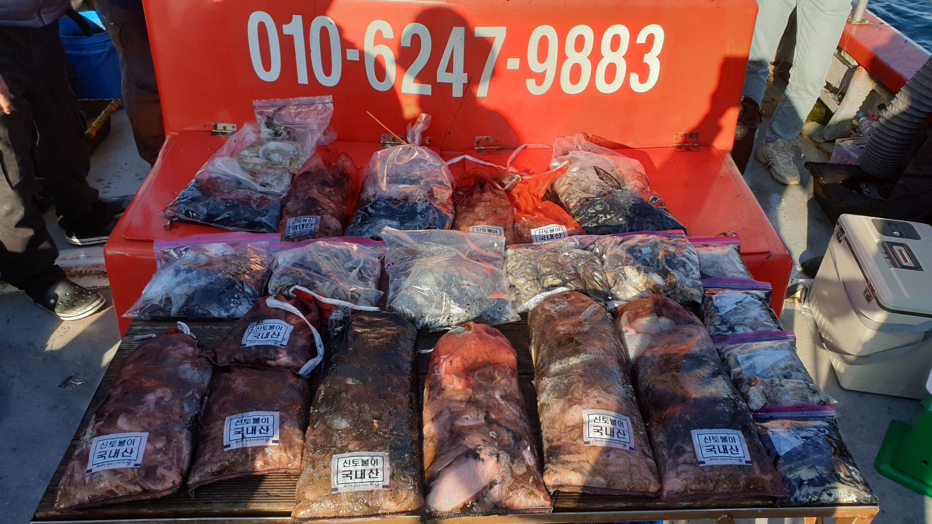 10/9 천북 회변항 조나단호 쭈꾸미, 갑오징어낚시 출조조황