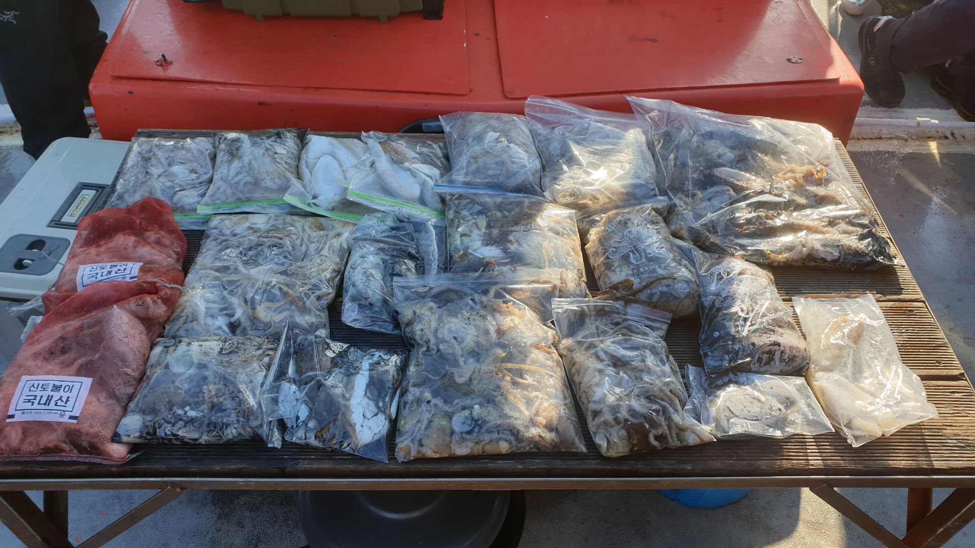 10/24 천북 회변항 조나단호 쭈꾸미 갑오징어낚시 조황