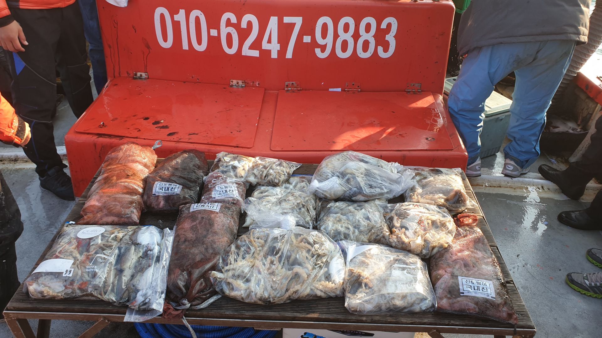 10/30 천북 회변항 조나단호 쭈꾸미,갑오징어낚시 출조조황