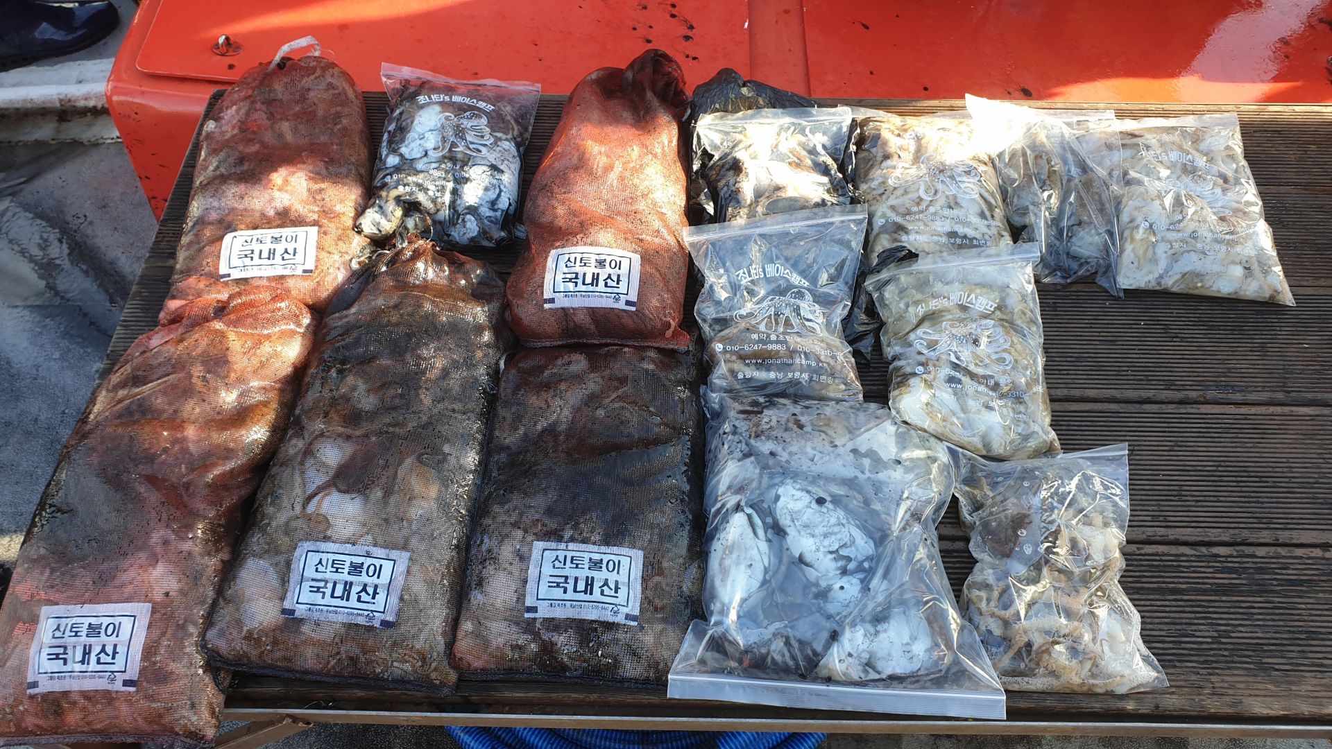 10월 28일 천북 회변항 조나단호 쭈꾸미,갑오징어 조황