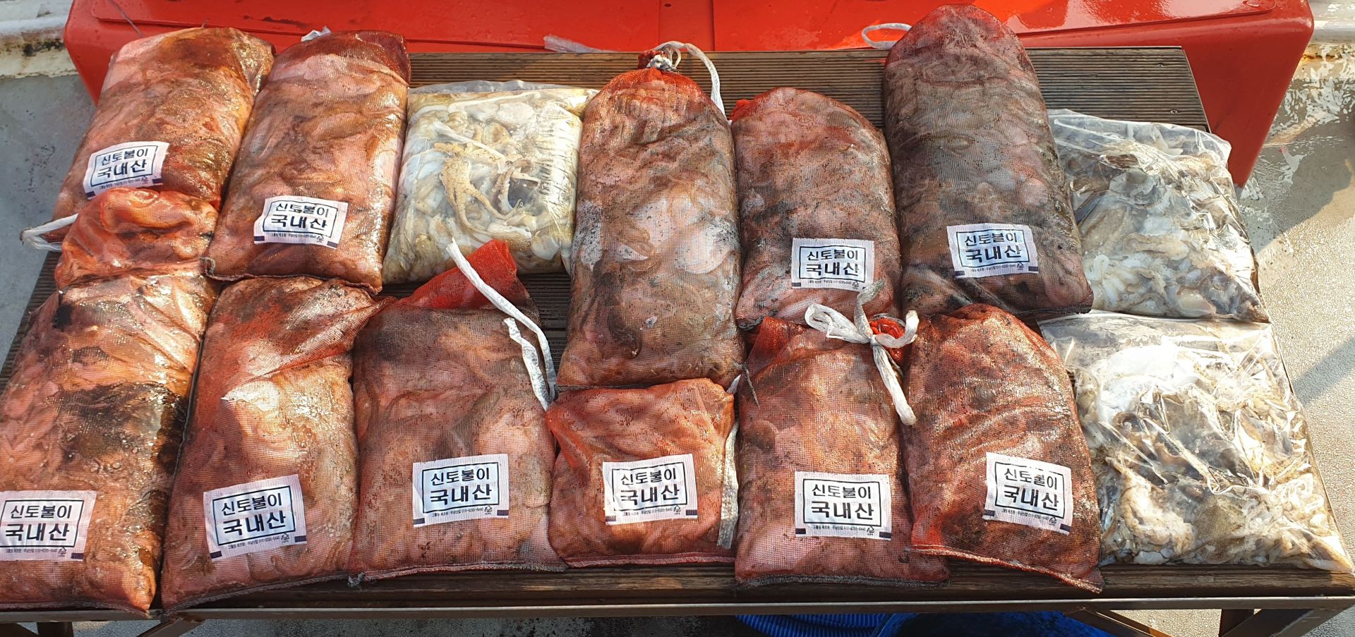 9/30 천북 회변항 조나단호 쭈구미,갑오징어낚시 조황