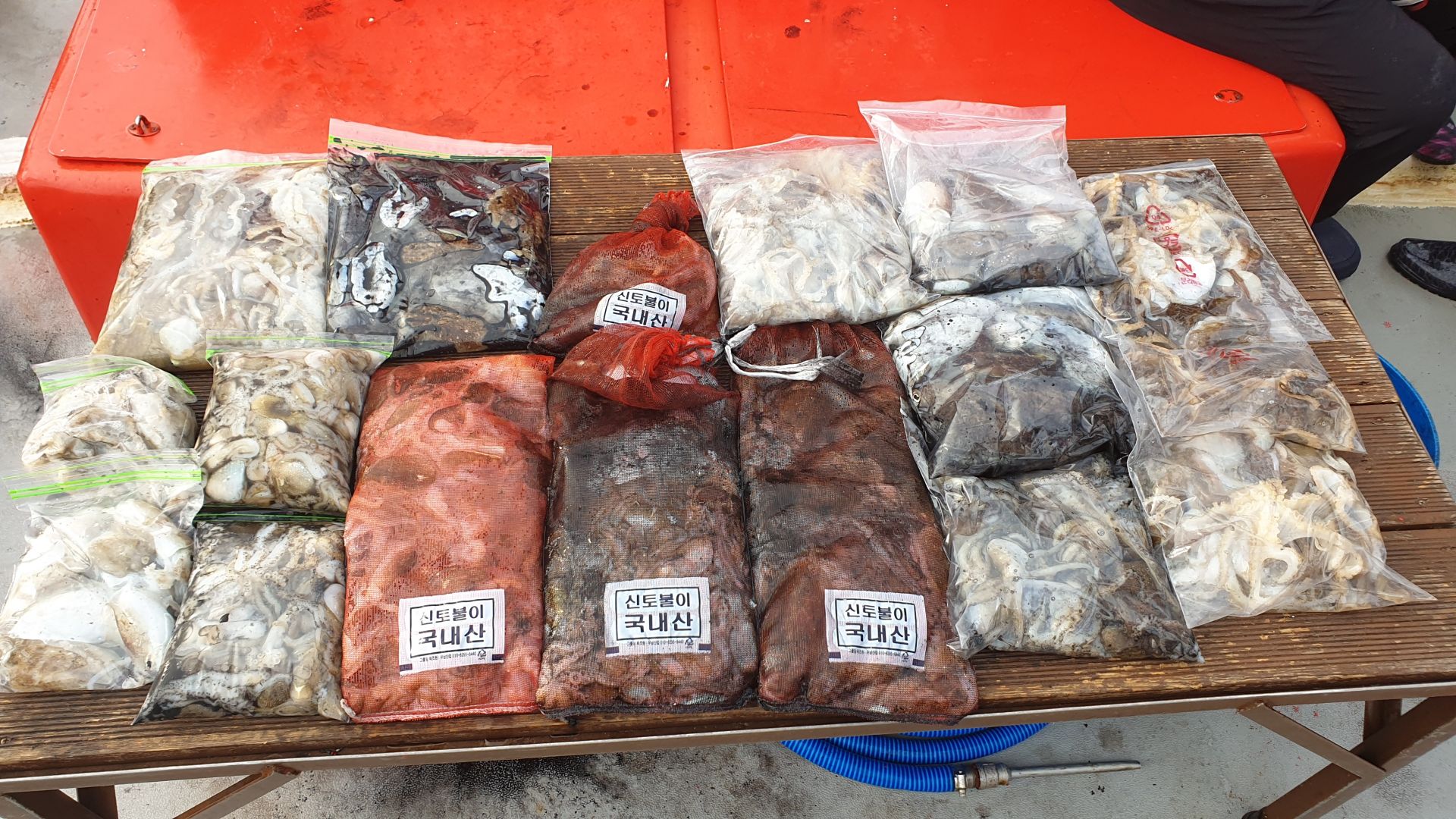 10월 2천북 회변항 조나단호 쭈꾸미,갑오징어 조황