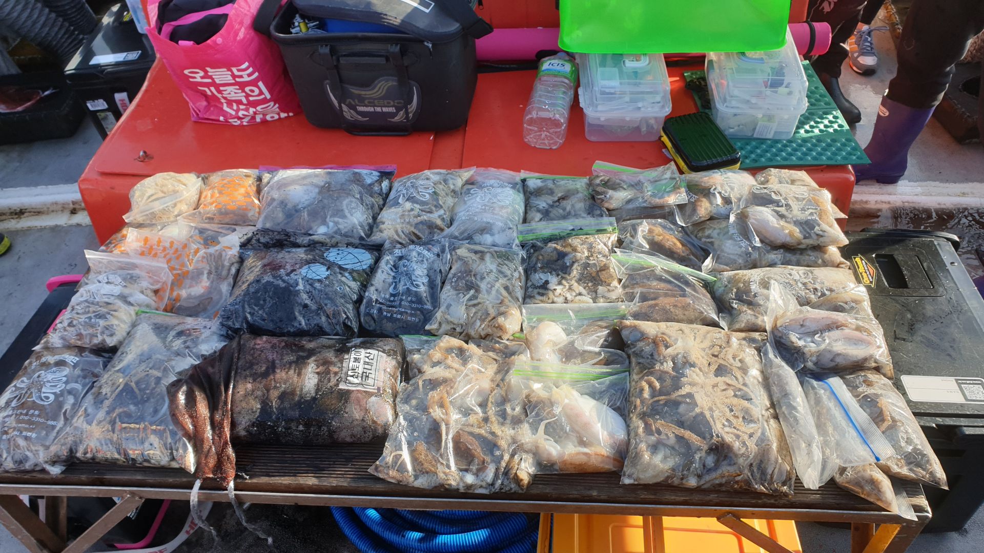 10/25 천북 회변항 조나단호 쭈꾸미, 갑오징어낚시 조황