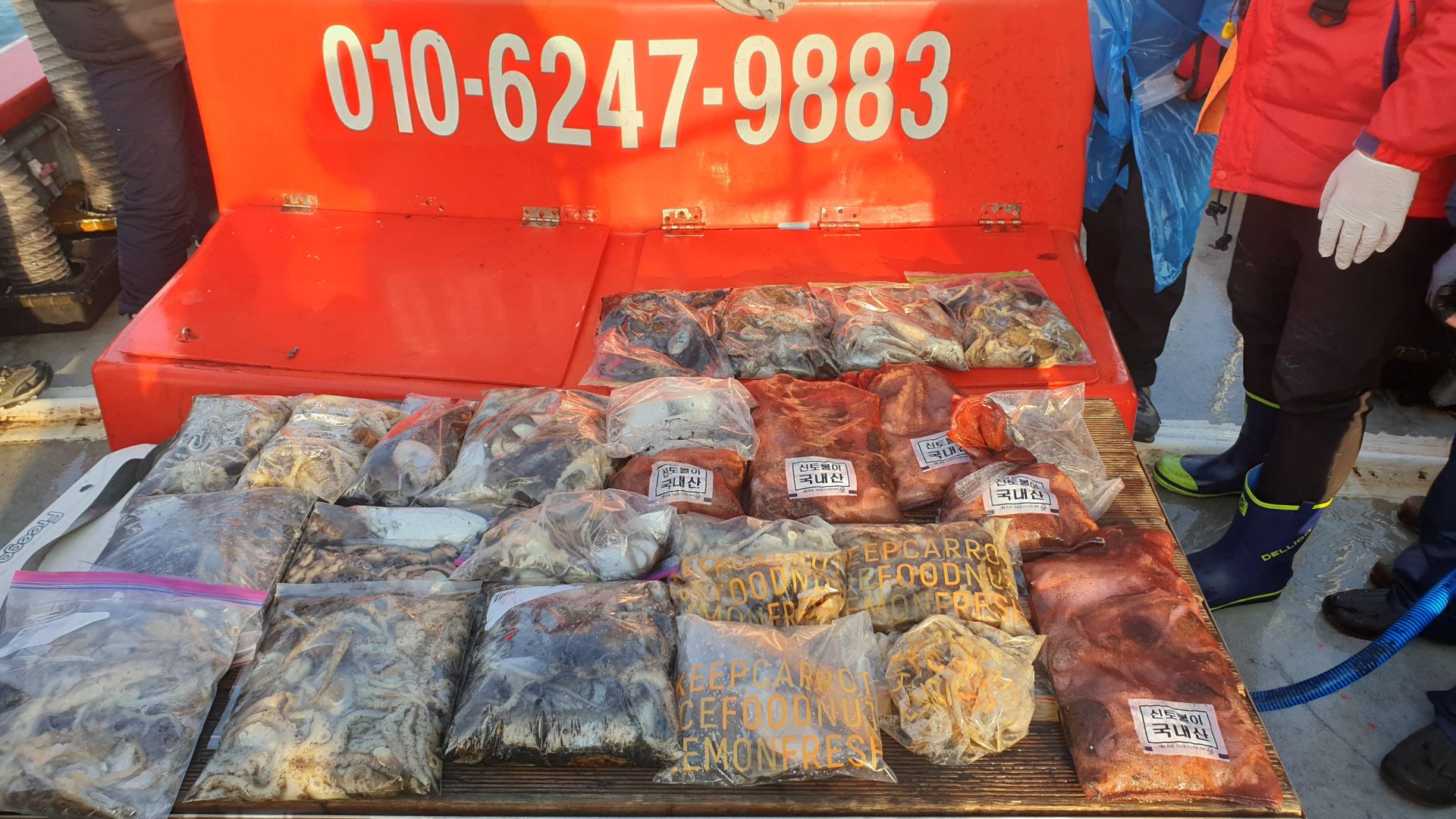 10월 31일 천북 회변항 조나단호 쭈꾸미,갑오징어 조황