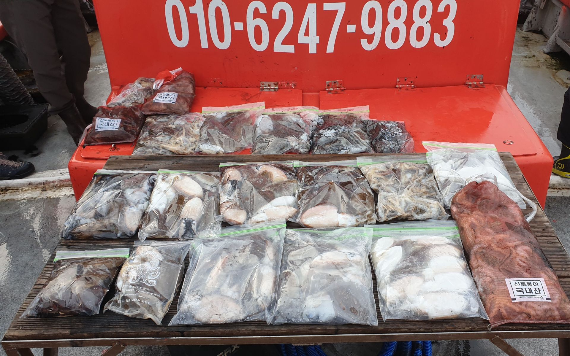 10/16 회변항 조나단호 갑오징어.쭈꾸미 조황