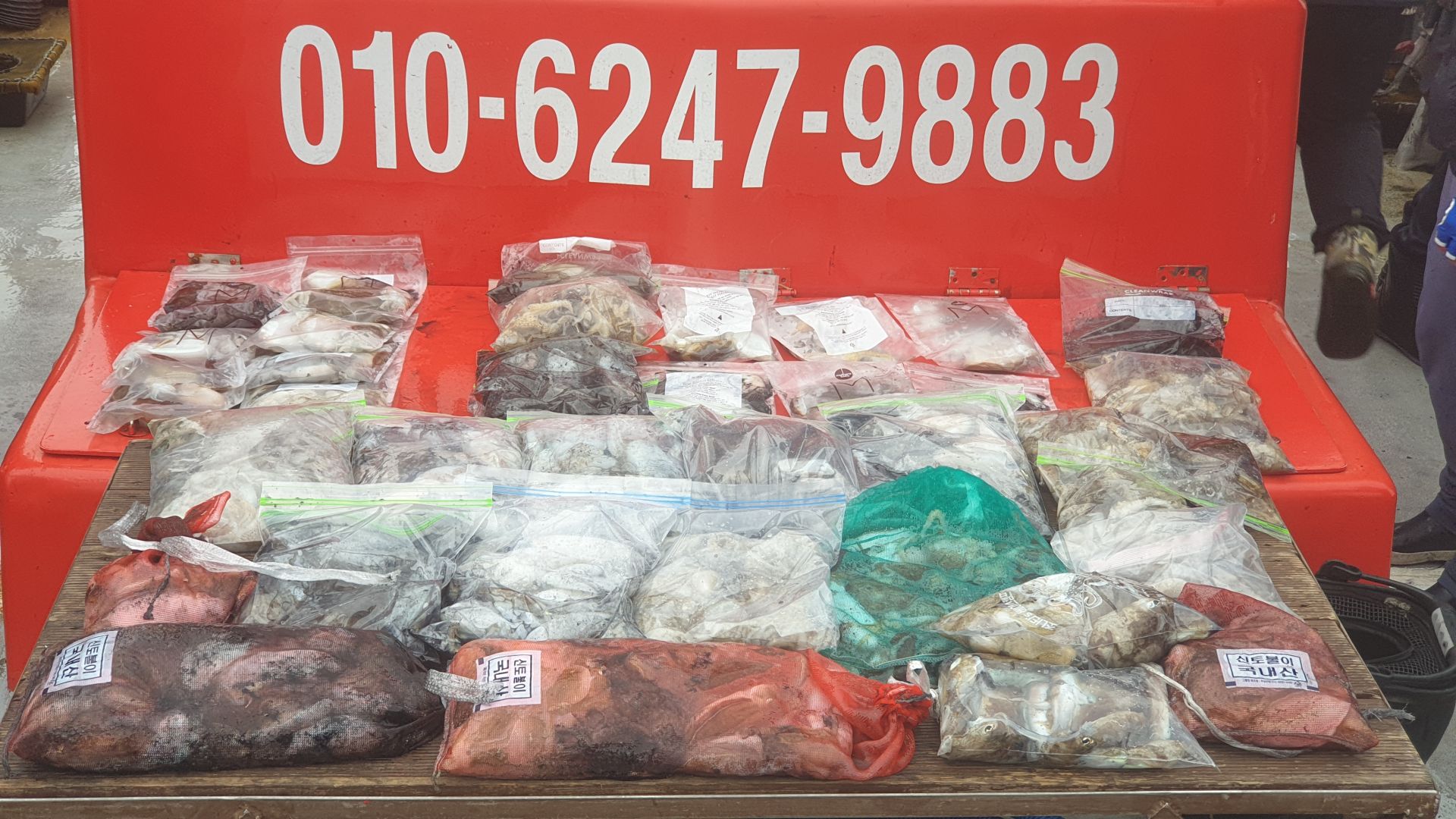 10월4일 회변항 조나단호 쭈꾸미,갑오징어 조황