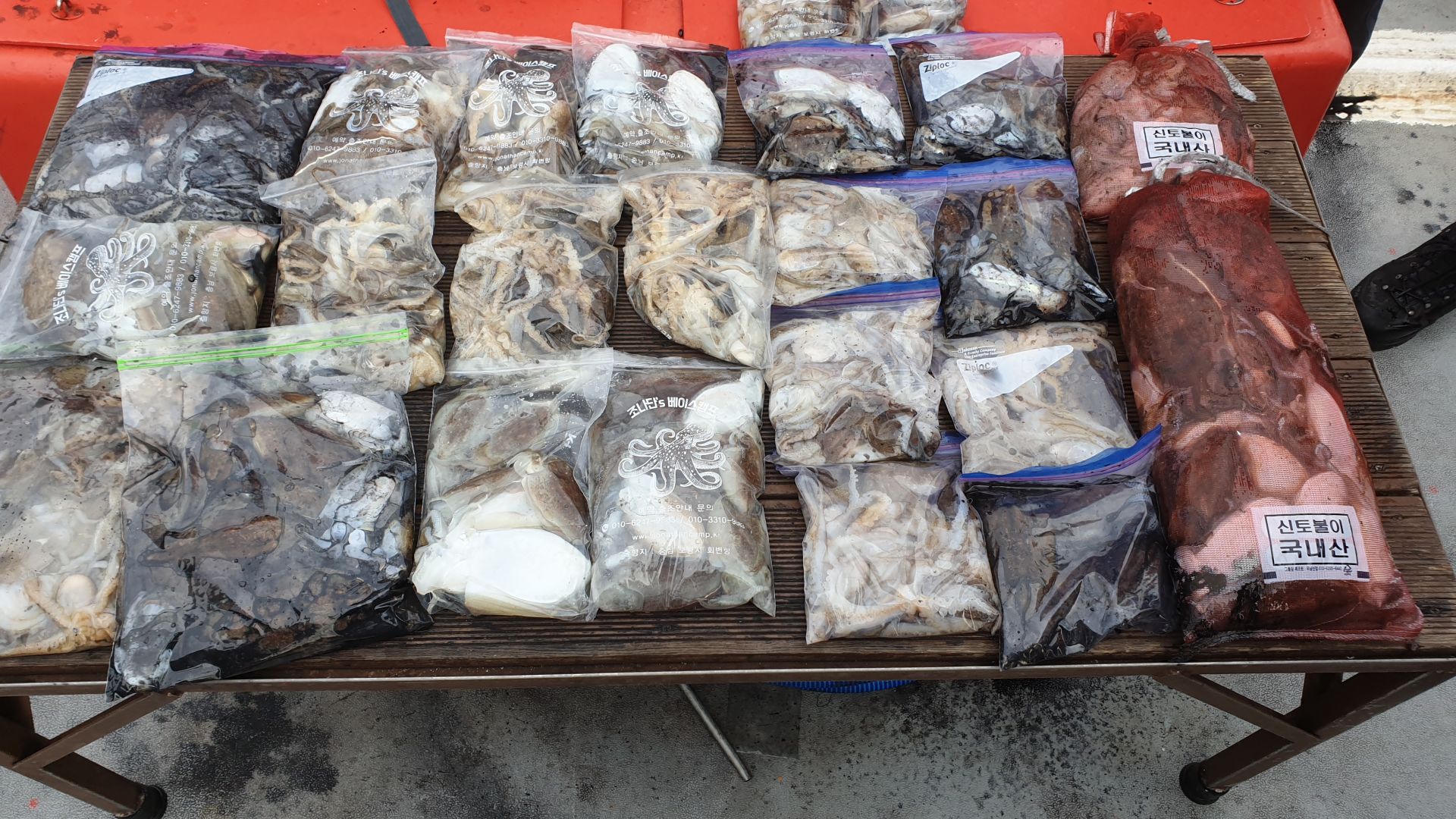 10월 13일 천북 회변항 조나단호 쭈꾸미,갑오징어 조황