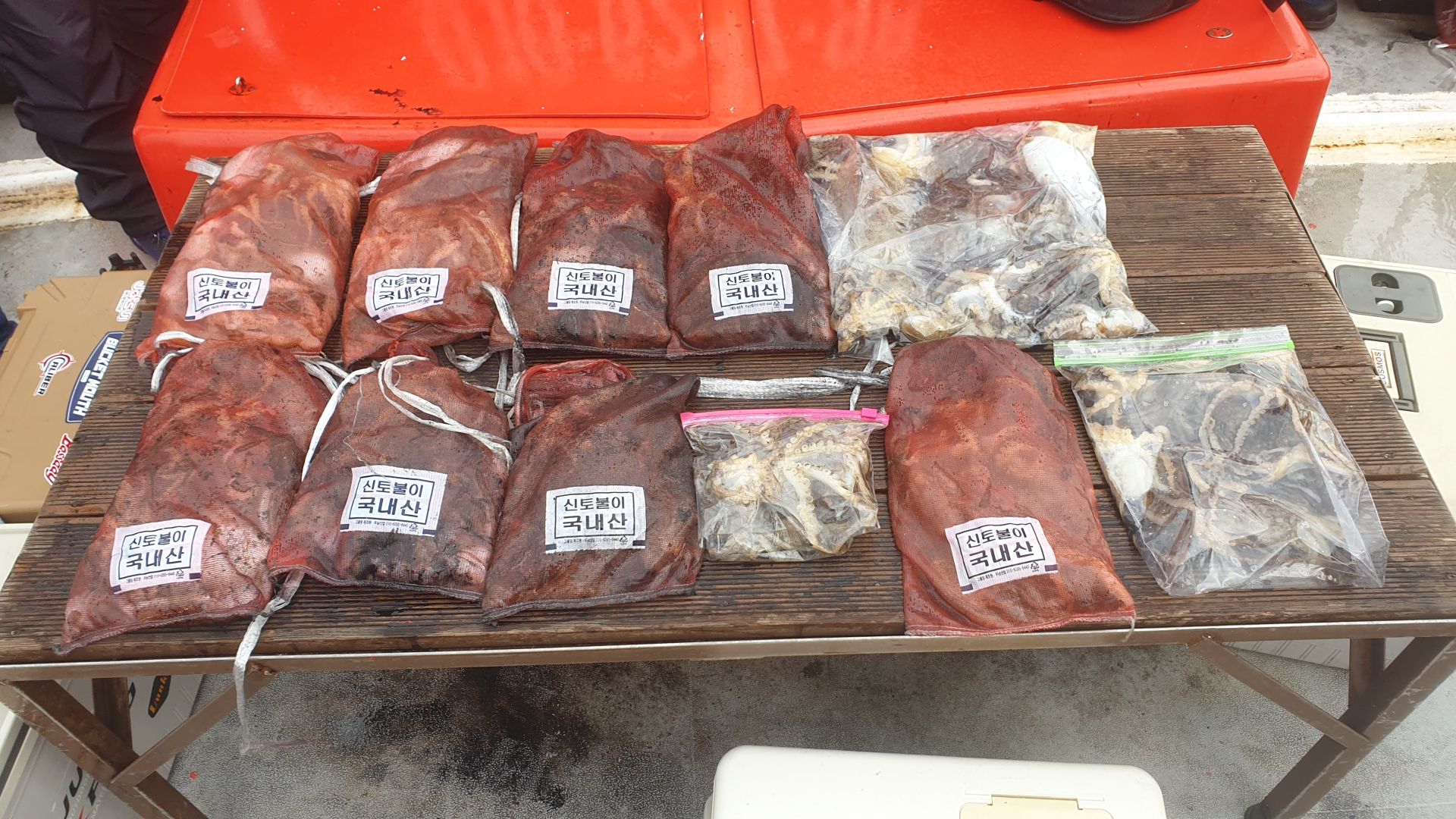 11/6 천북회변항 조나단호 쭈꾸미,갑오징어낚시 출조조황