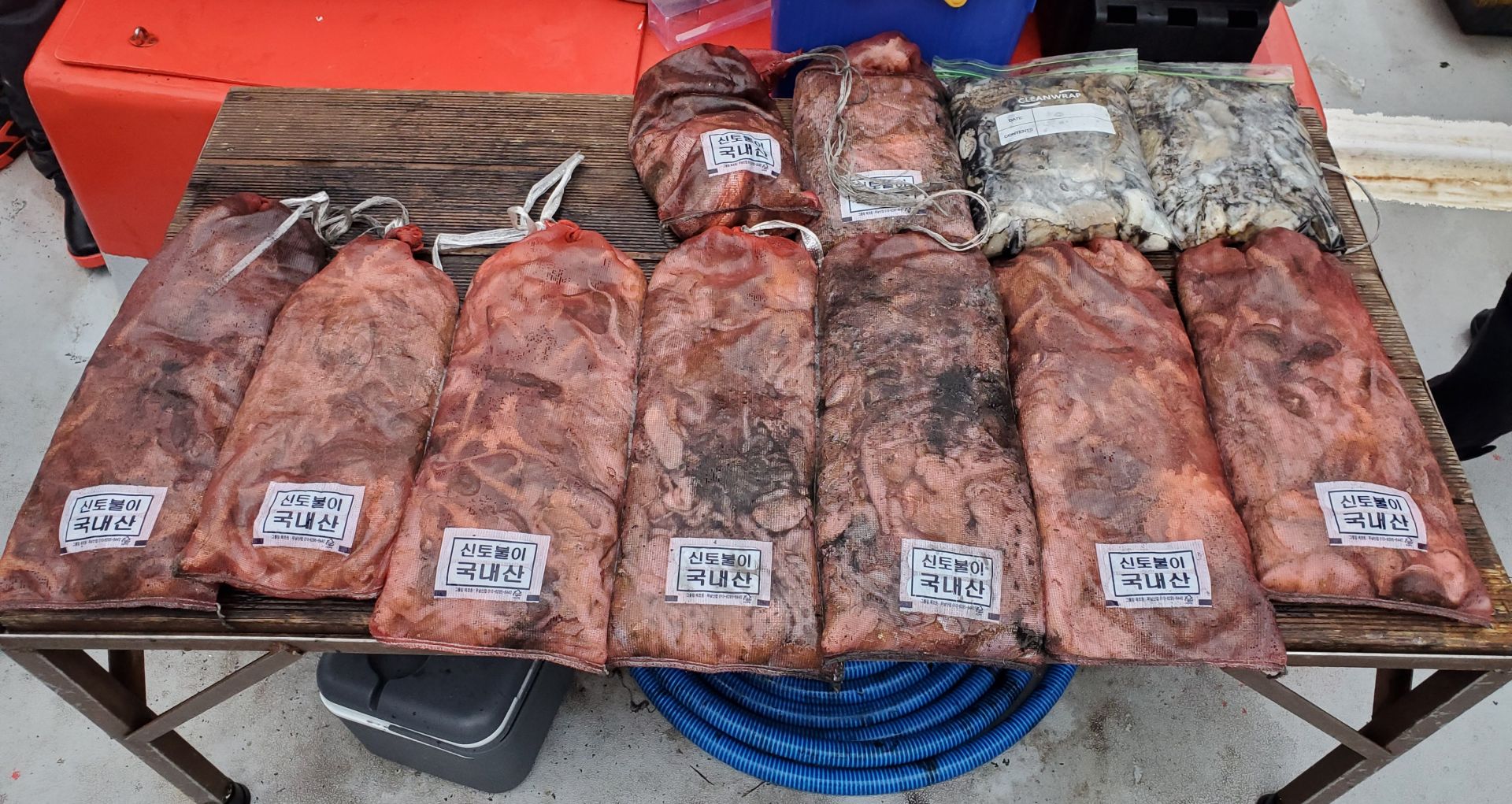 11/22 천북 회변항 조나단호 쭈꾸미 조황