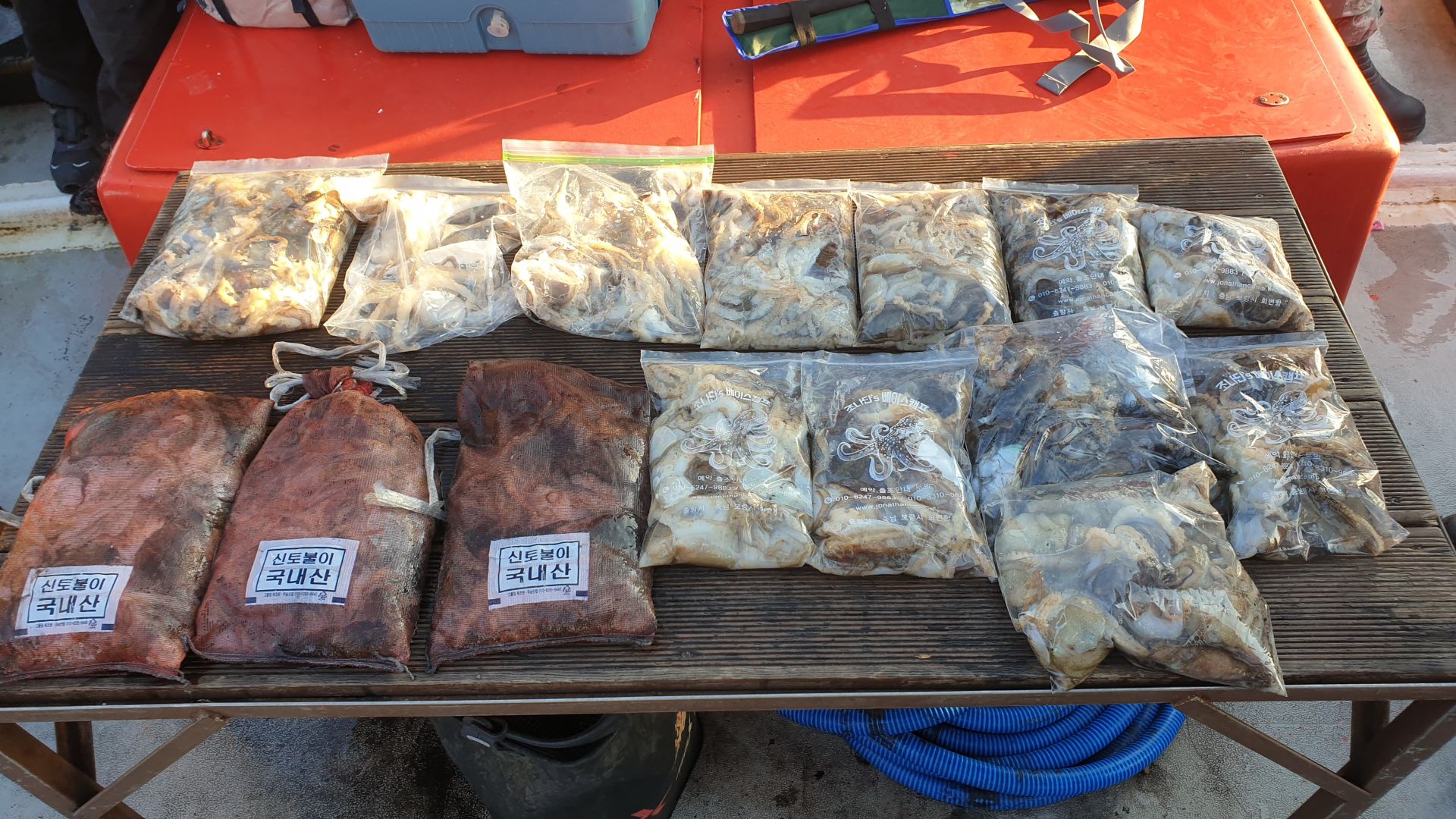 11/10 천북 회변항 조나단호 쭈구미 갑오징어 낚시 조황