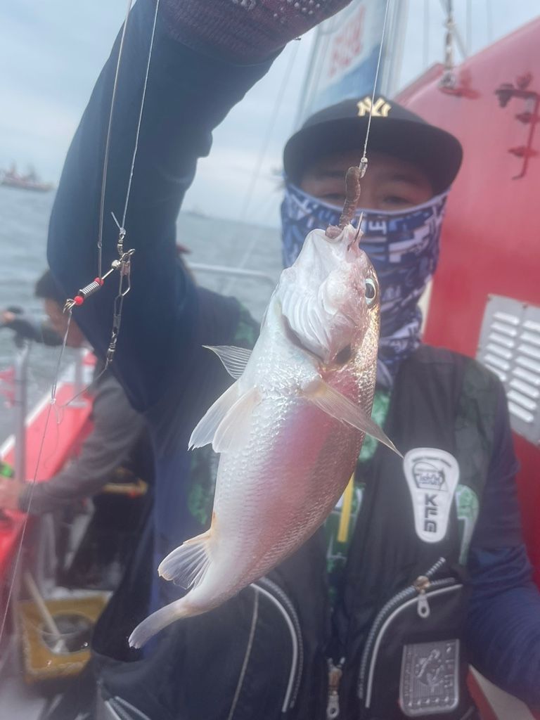 7월 11일 조나단호 백조기 조황입니다