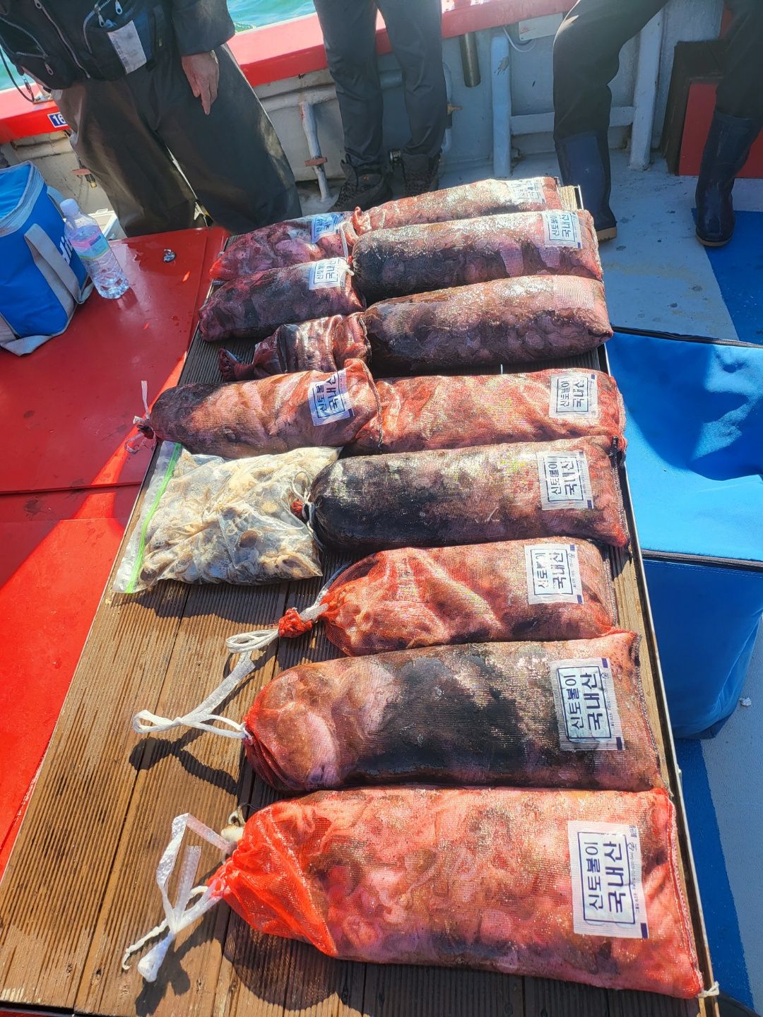 21년9월15일 주꾸미 갑오징어 조황입니다