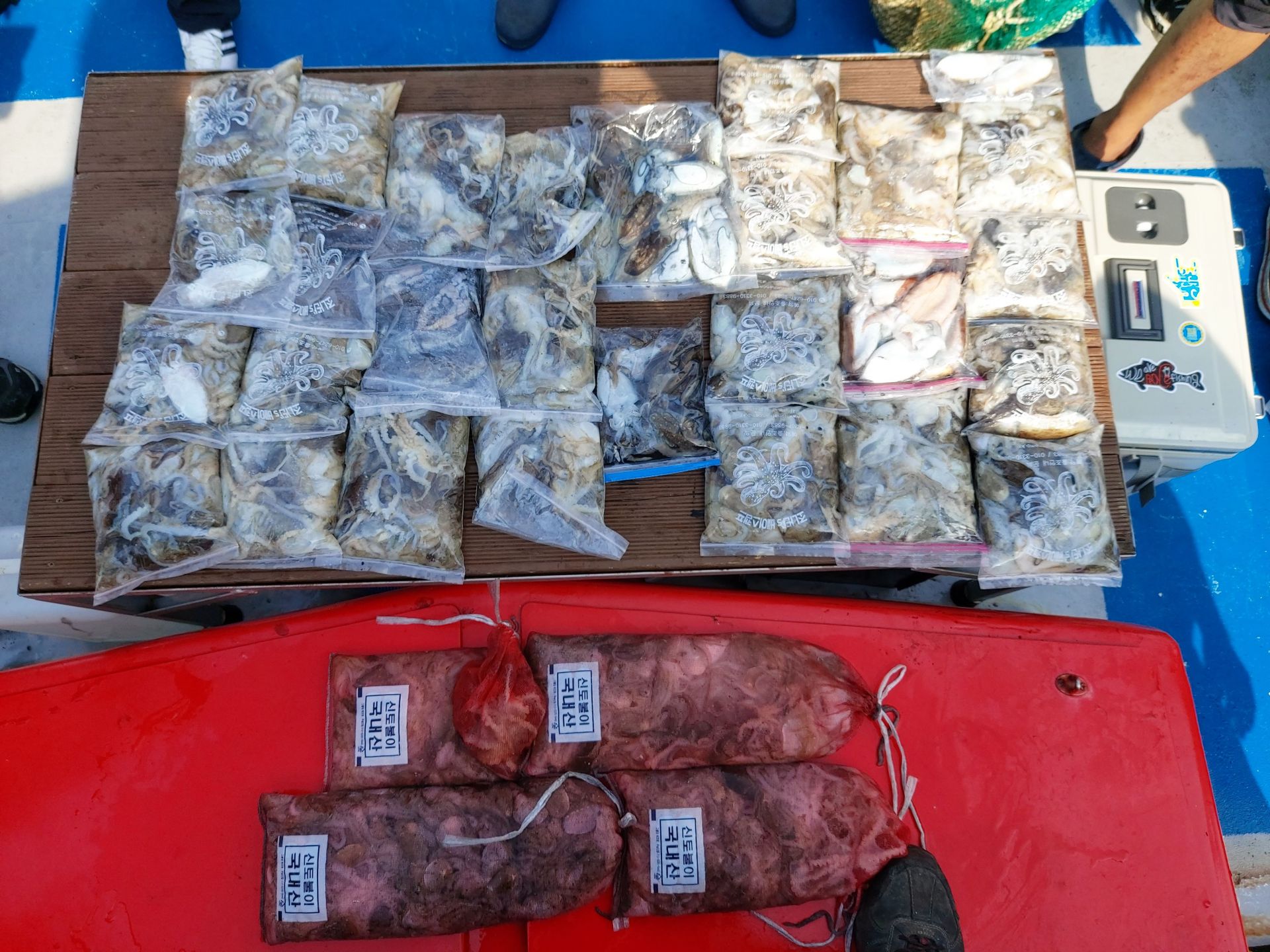 21년 9월 12일 주꾸미 갑오징어 조황입니다.